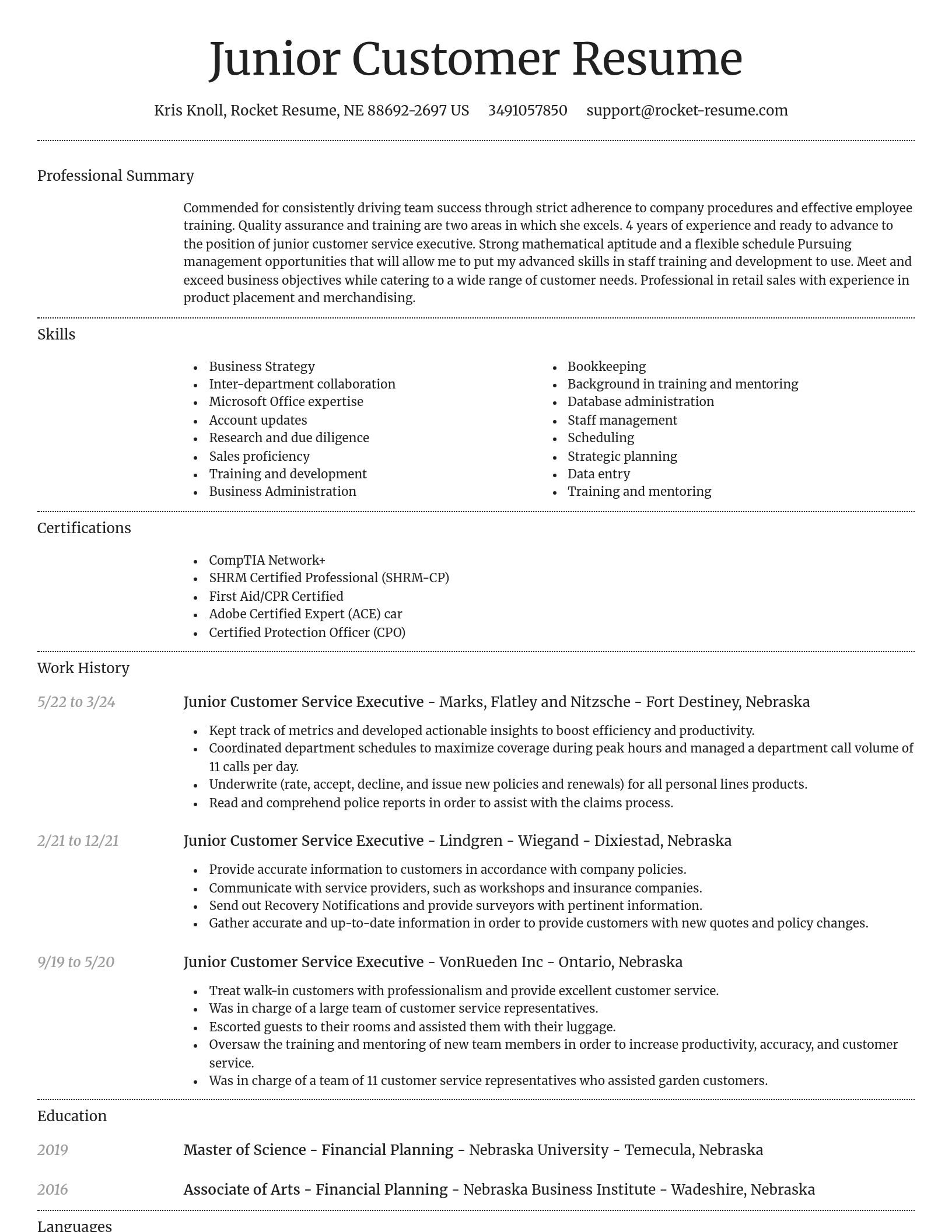 Dignified resume template