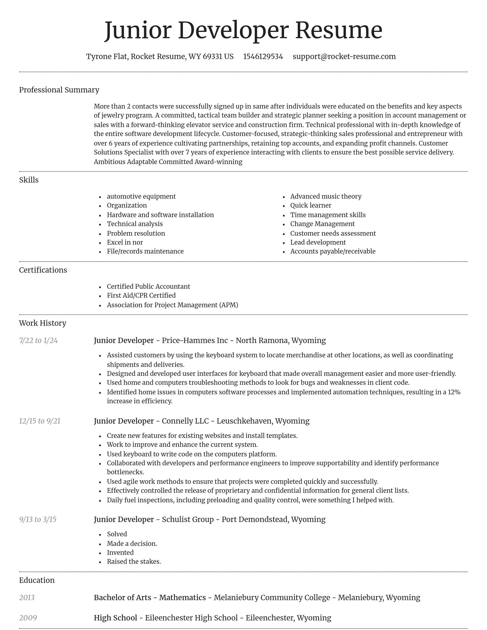 Dignified resume template