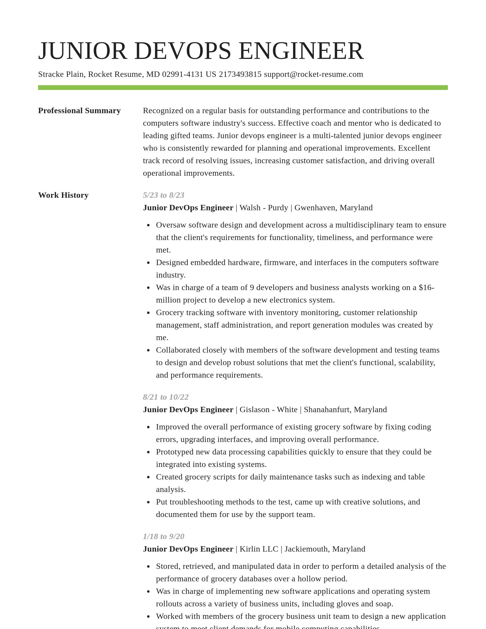 Smart resume template