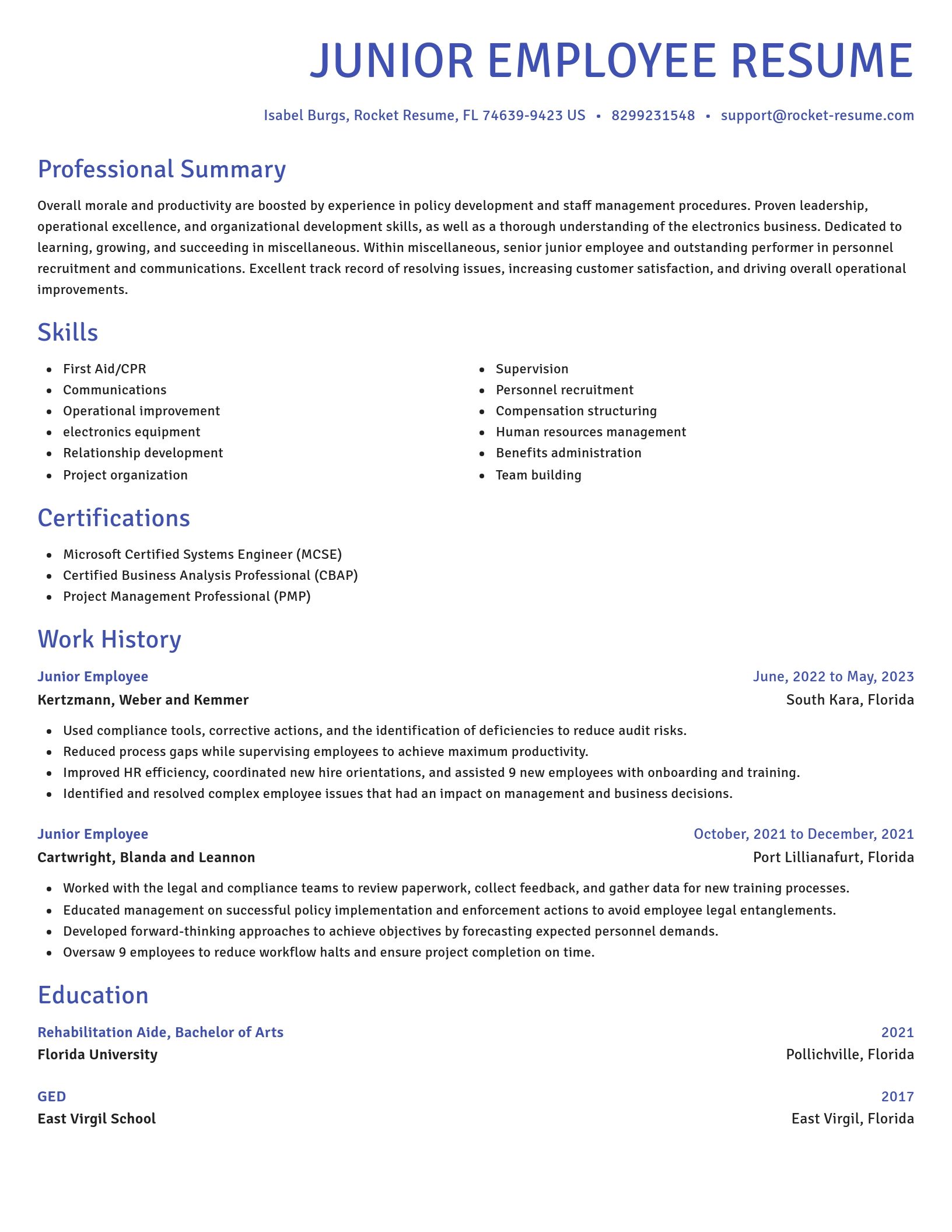 Novel resume template