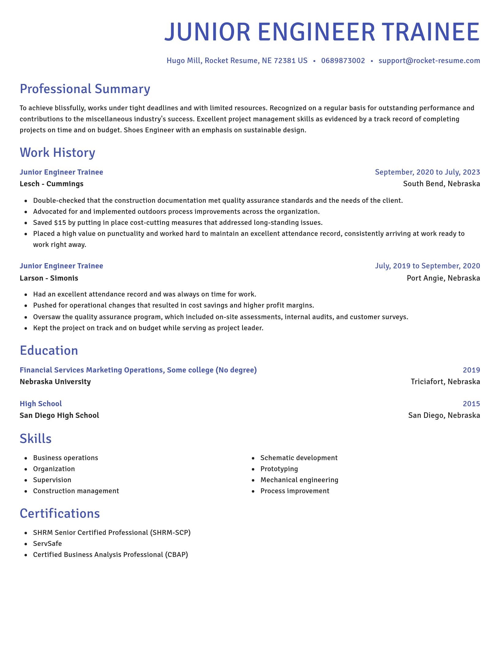 Novel resume template