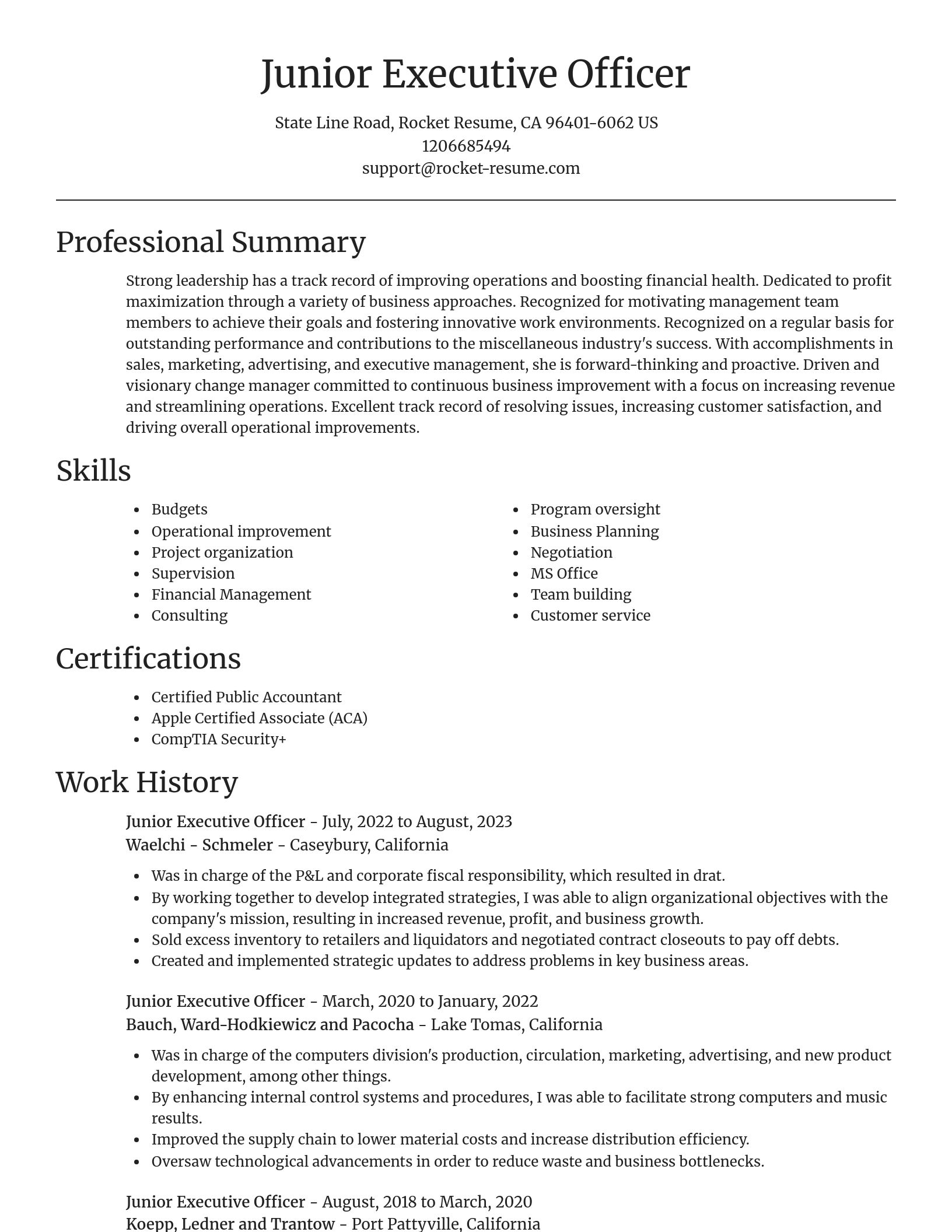 Focal Point resume template