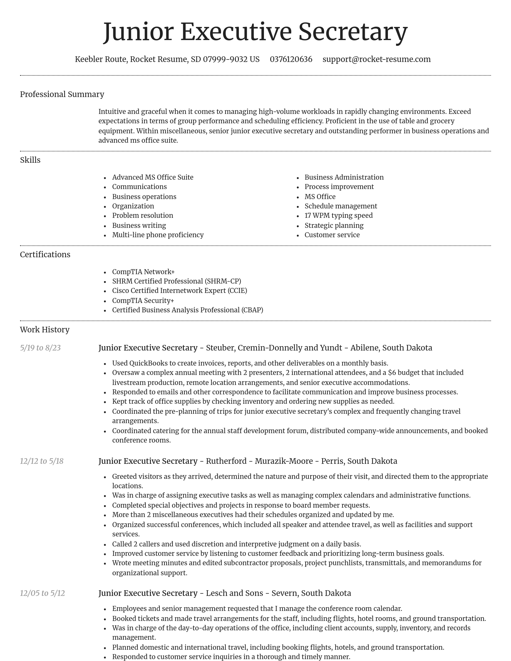 Dignified resume template