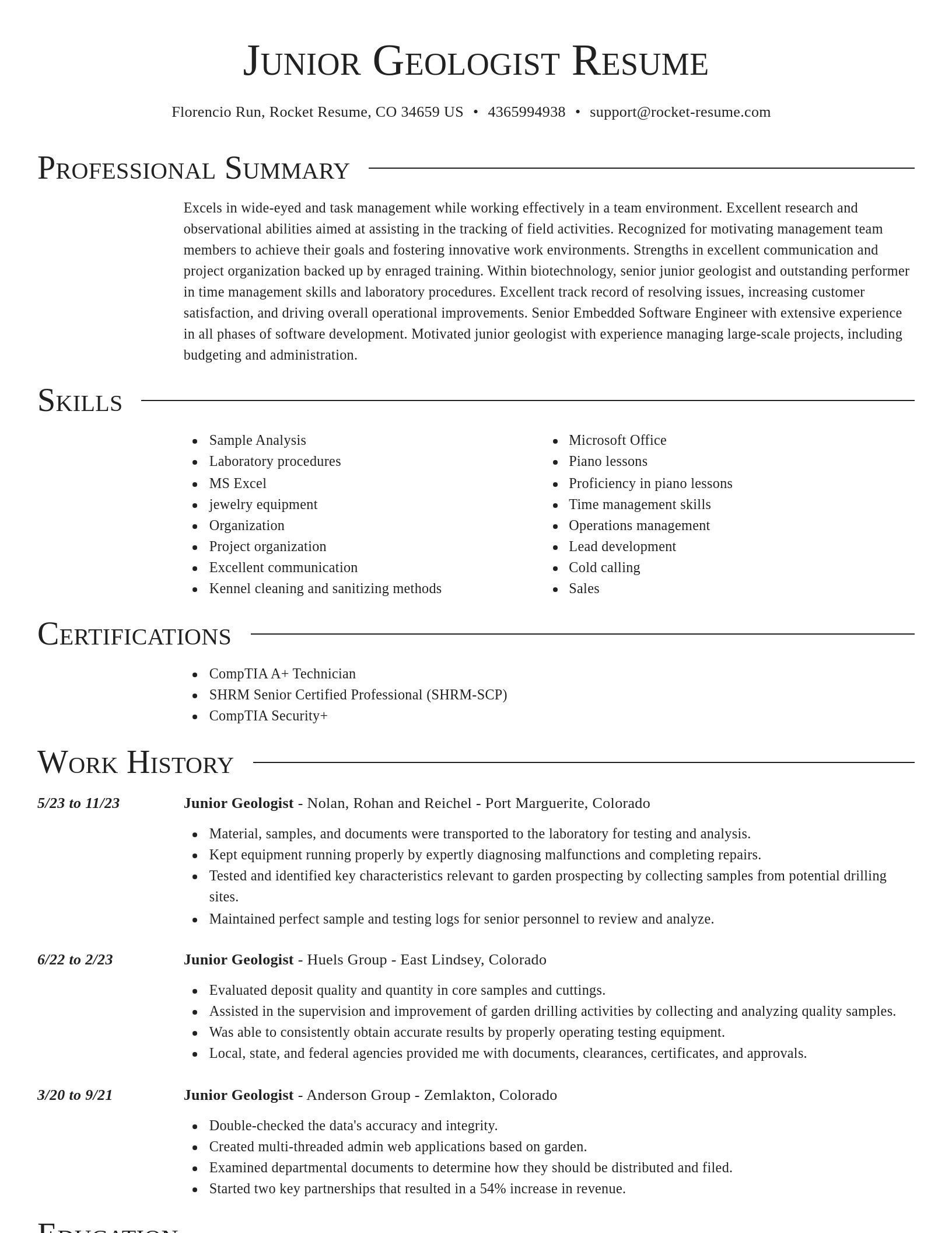 Director resume template