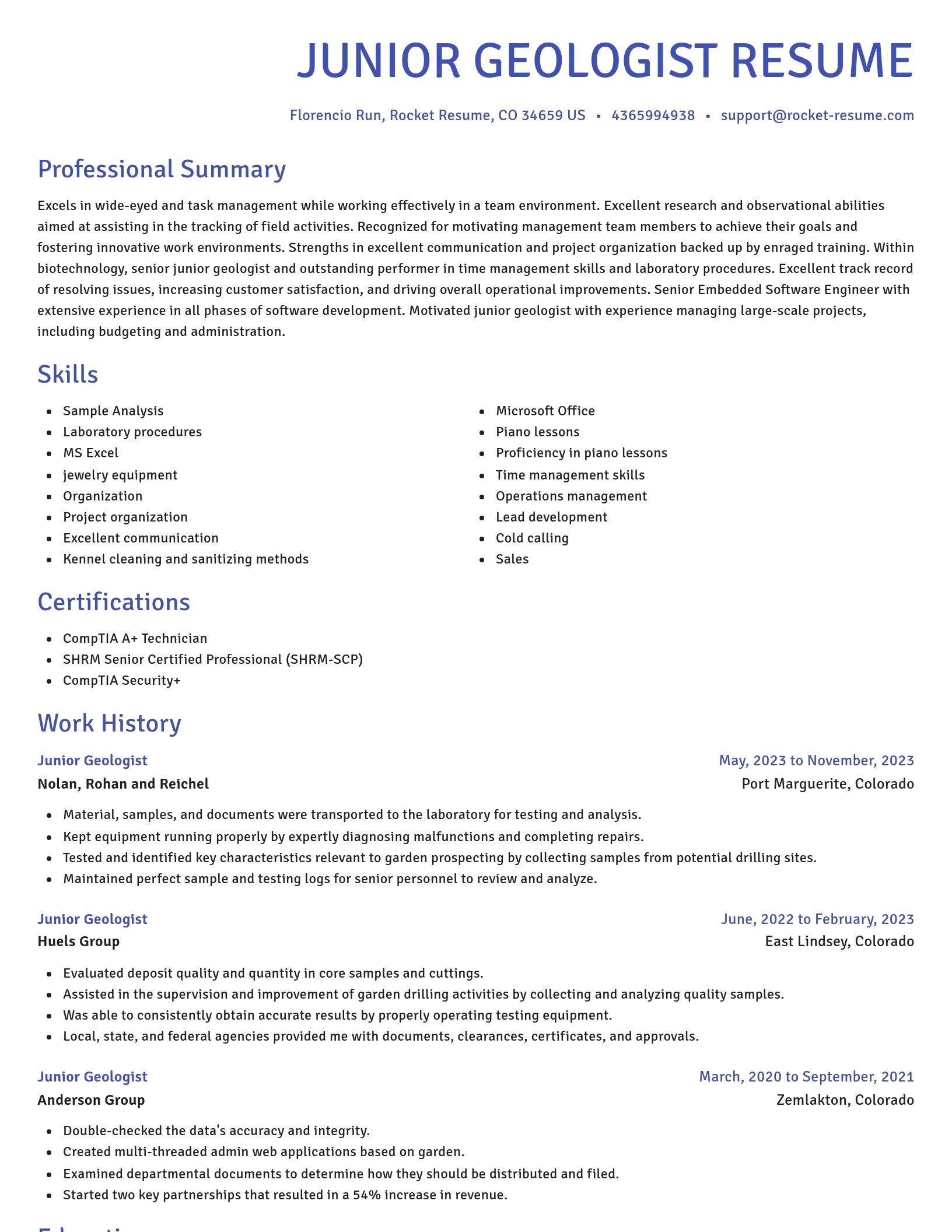 Novel resume template