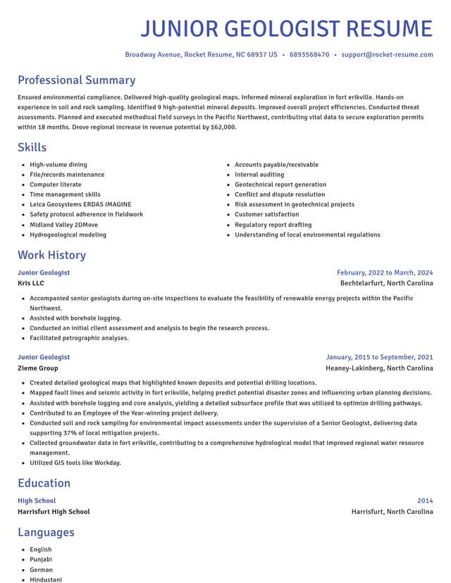 Novel resume template