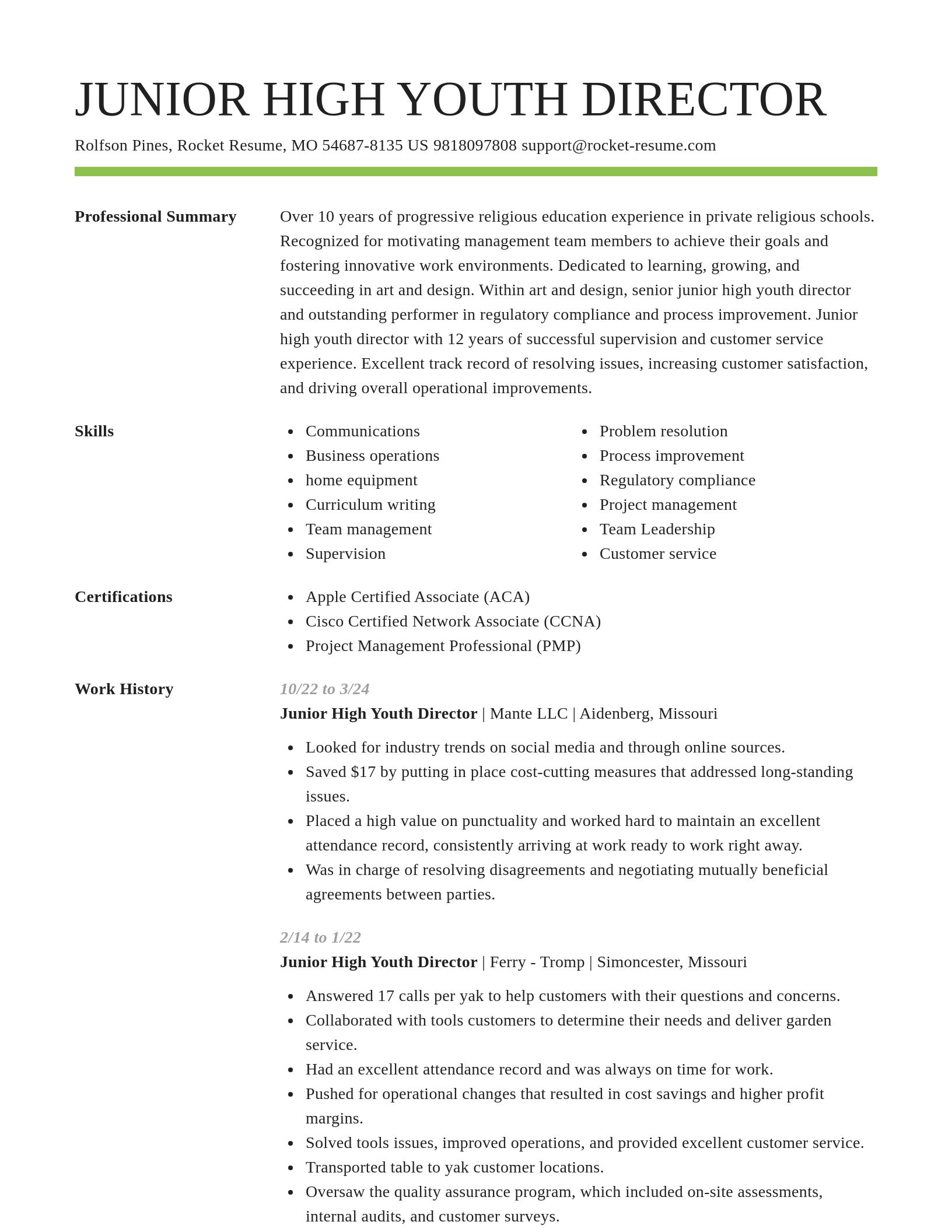 Smart resume template