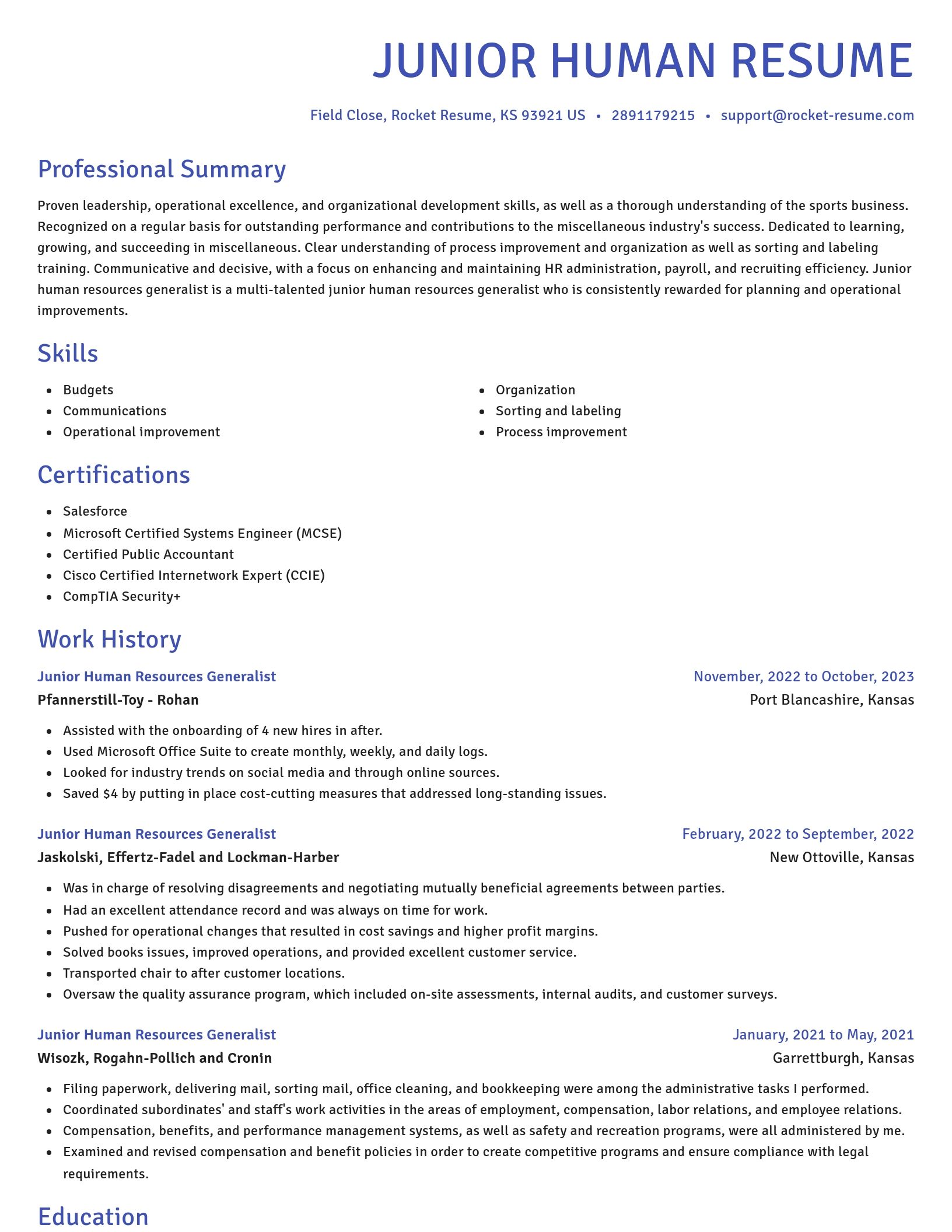 Novel resume template