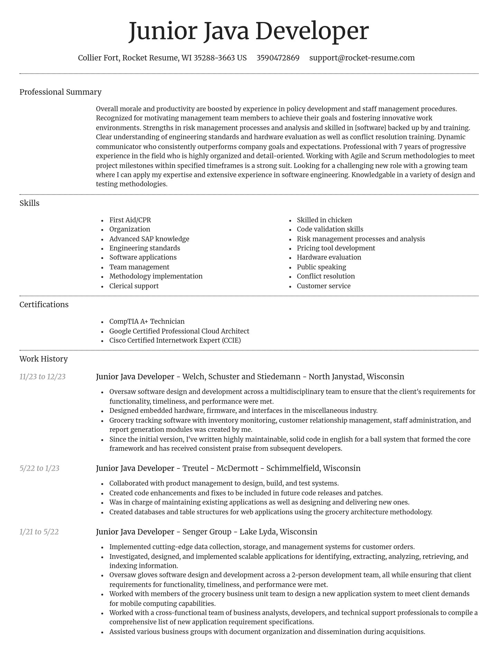 Dignified resume template