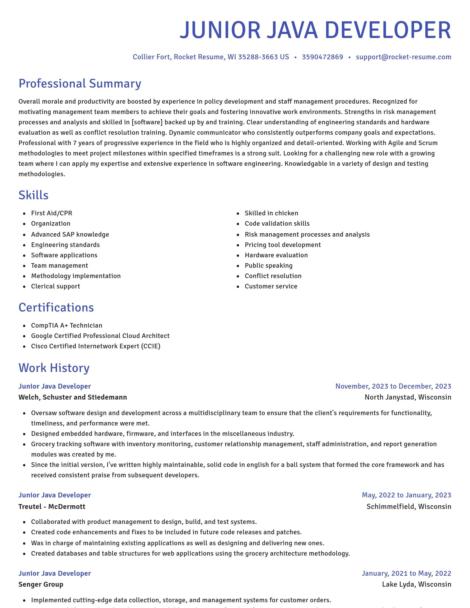 Novel resume template