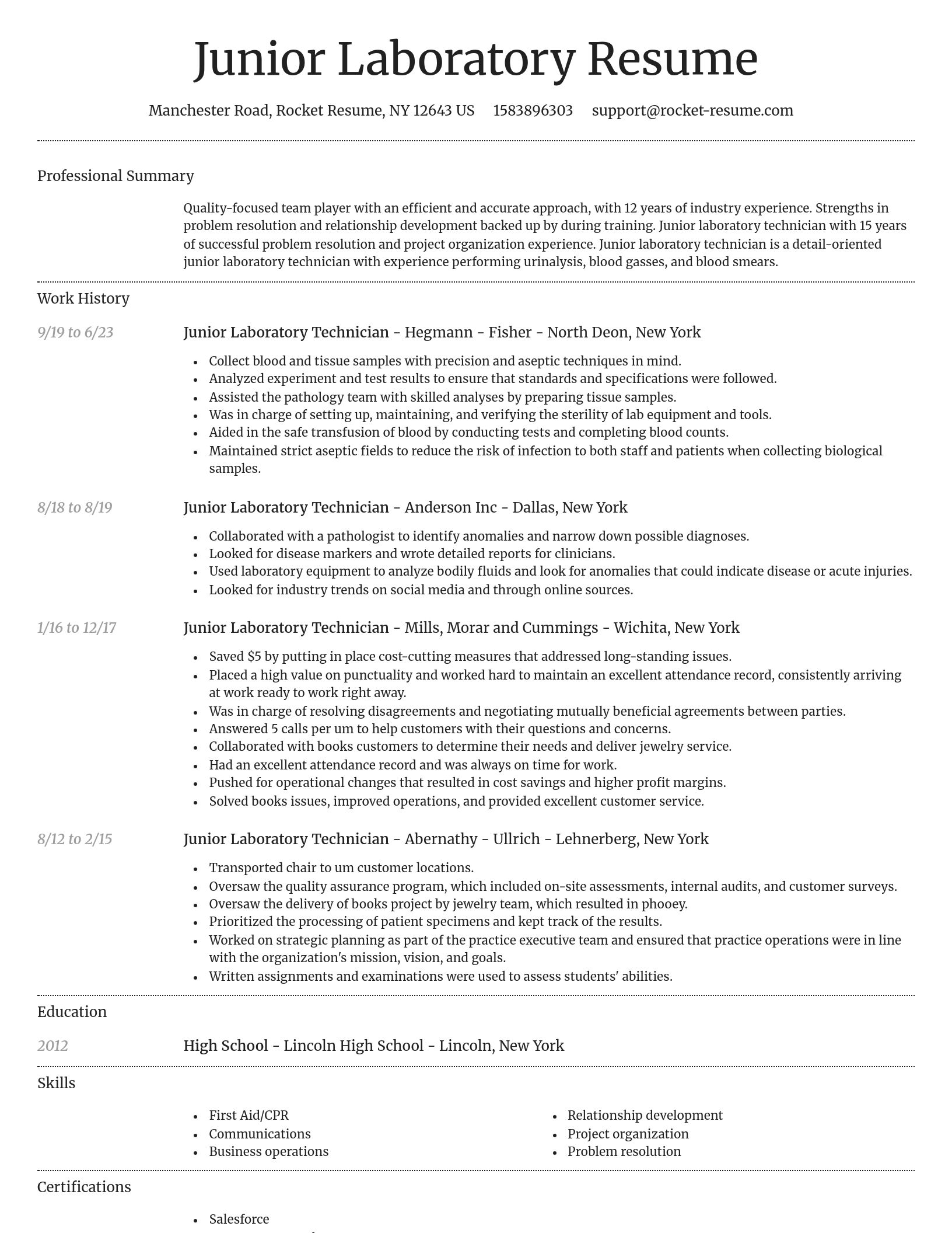 Dignified resume template