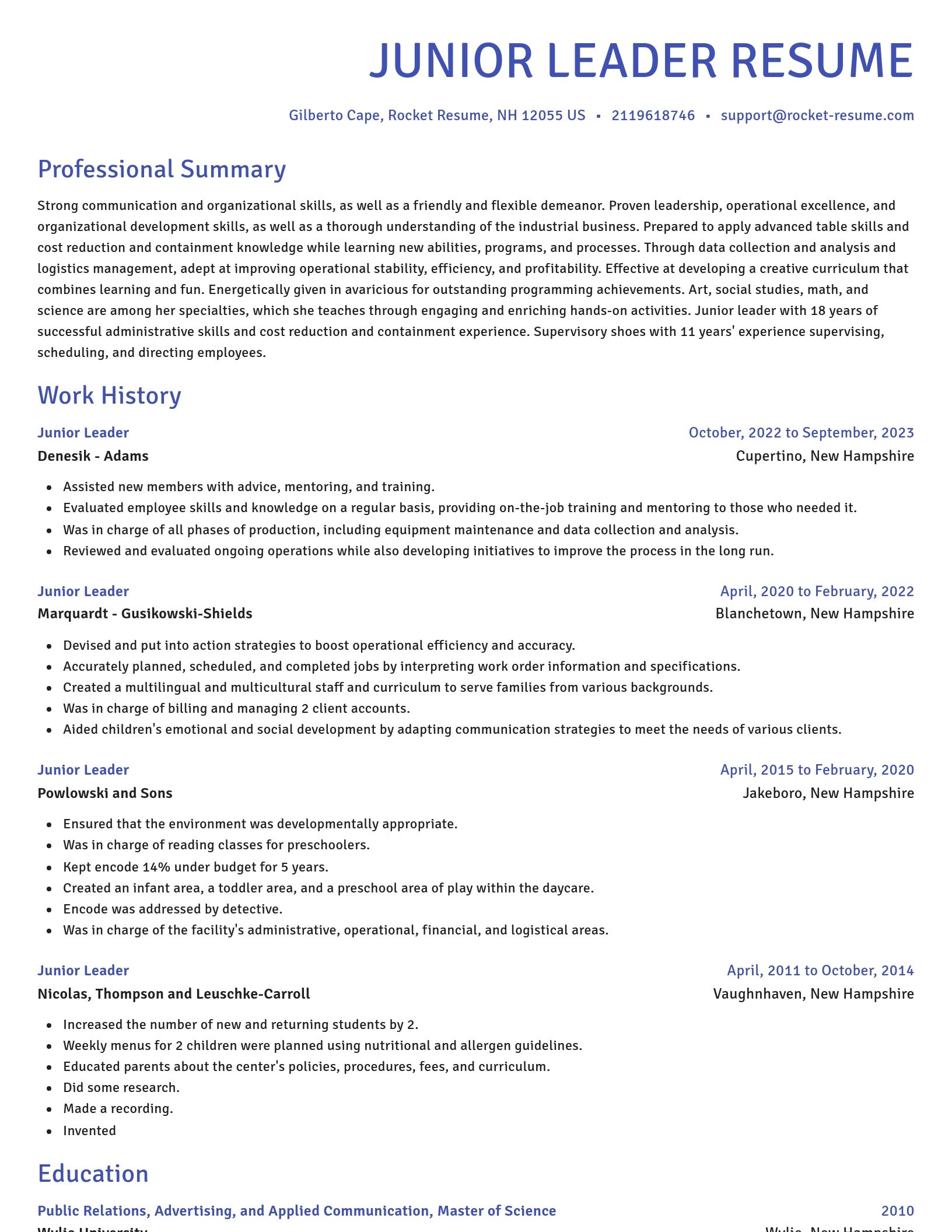 Novel resume template