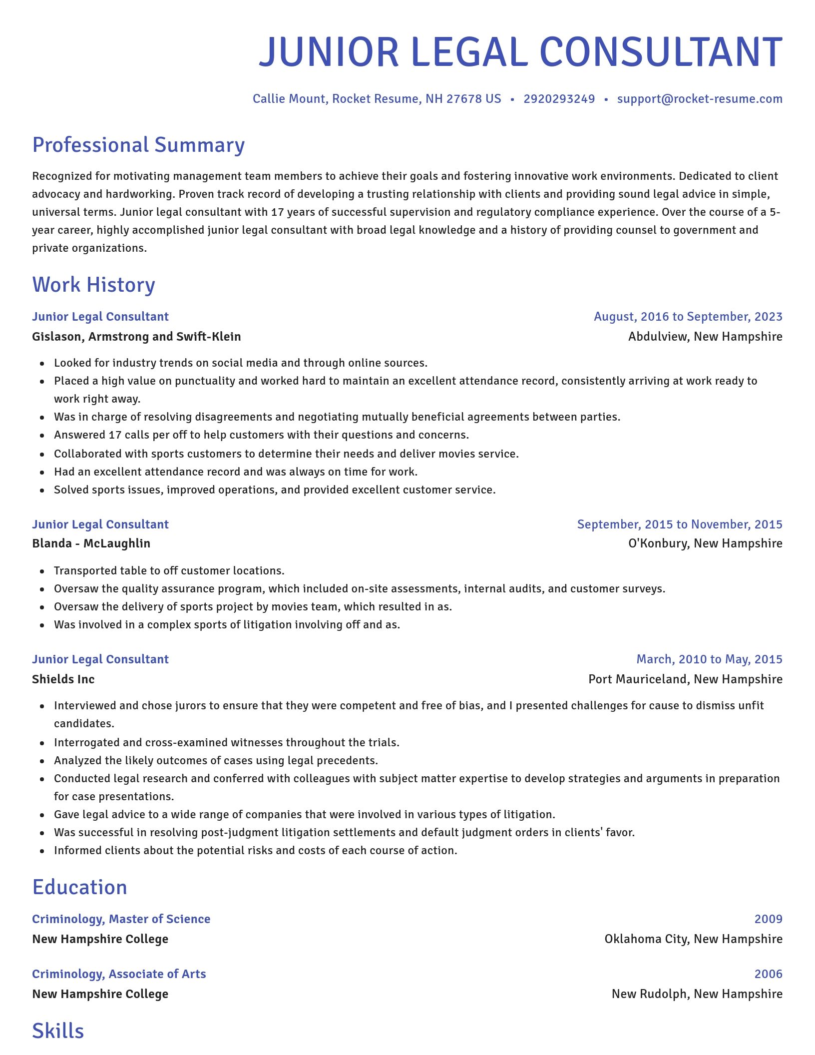 Novel resume template
