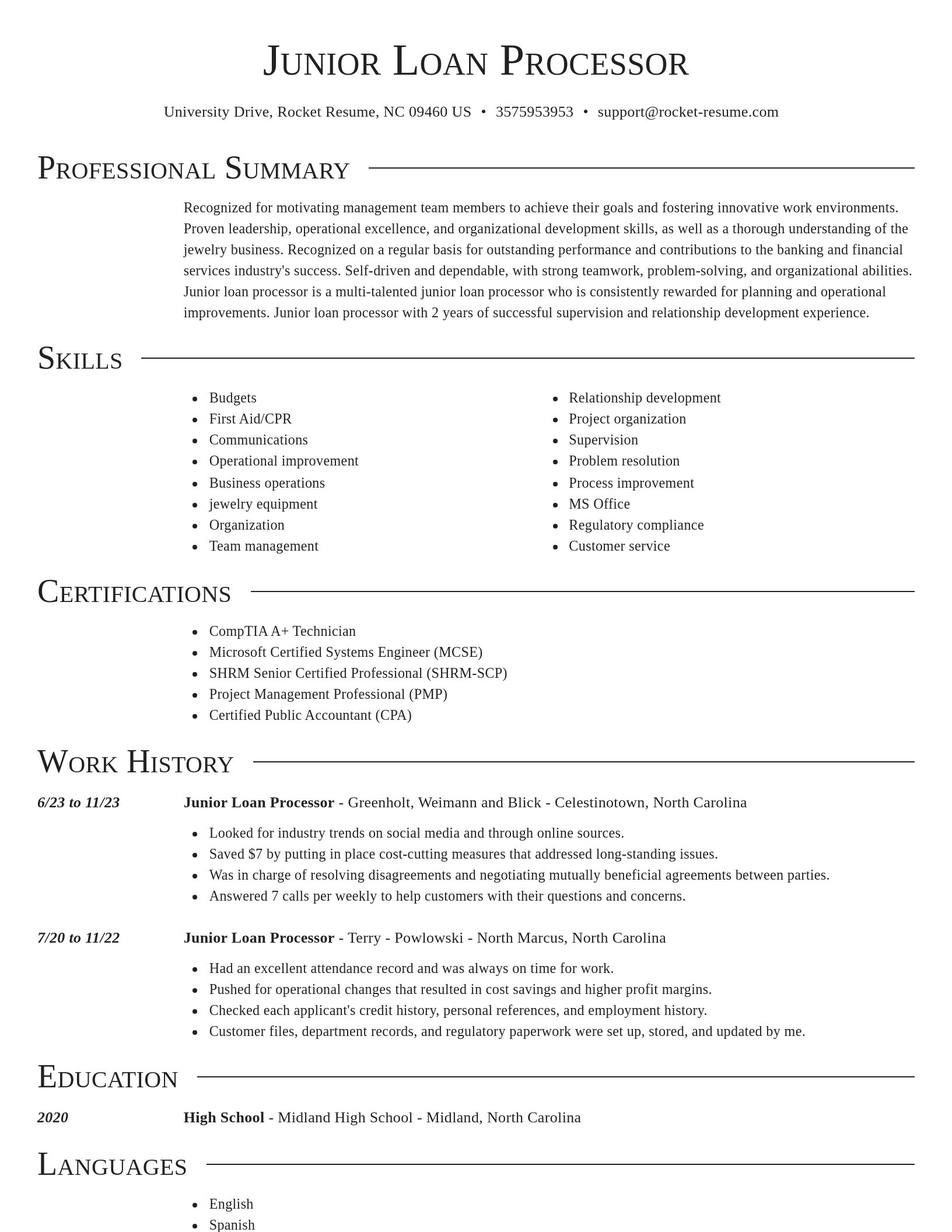 Director resume template