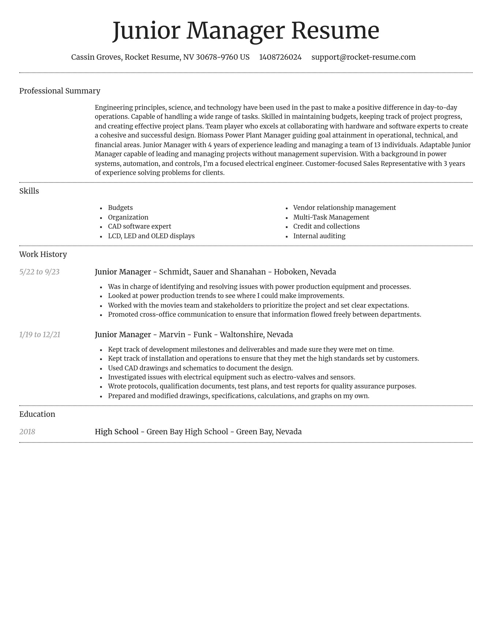 Dignified resume template