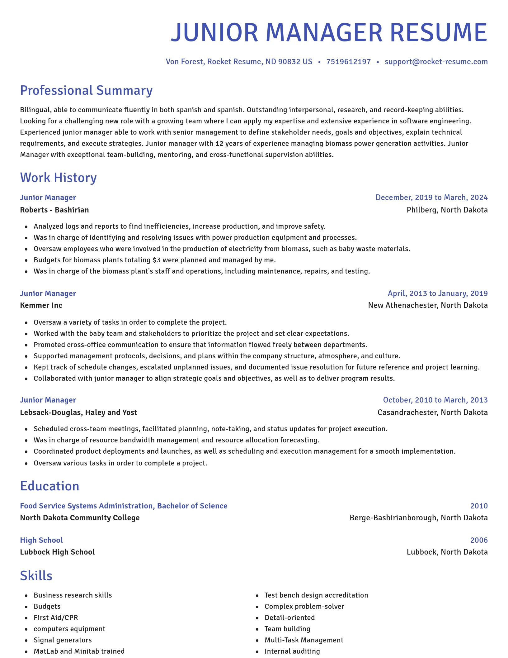 Novel resume template