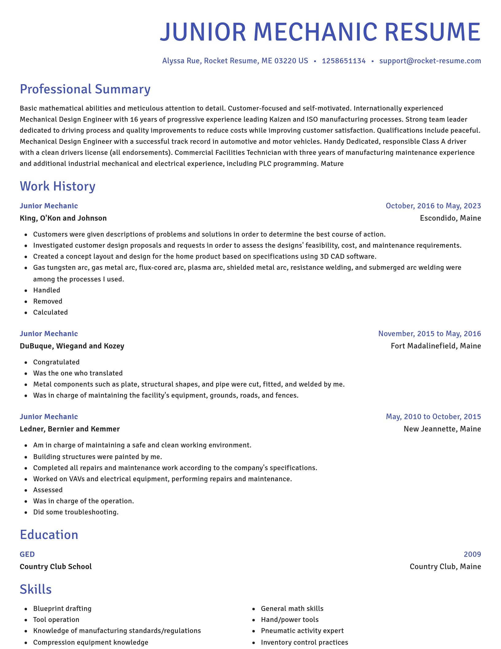 Novel resume template