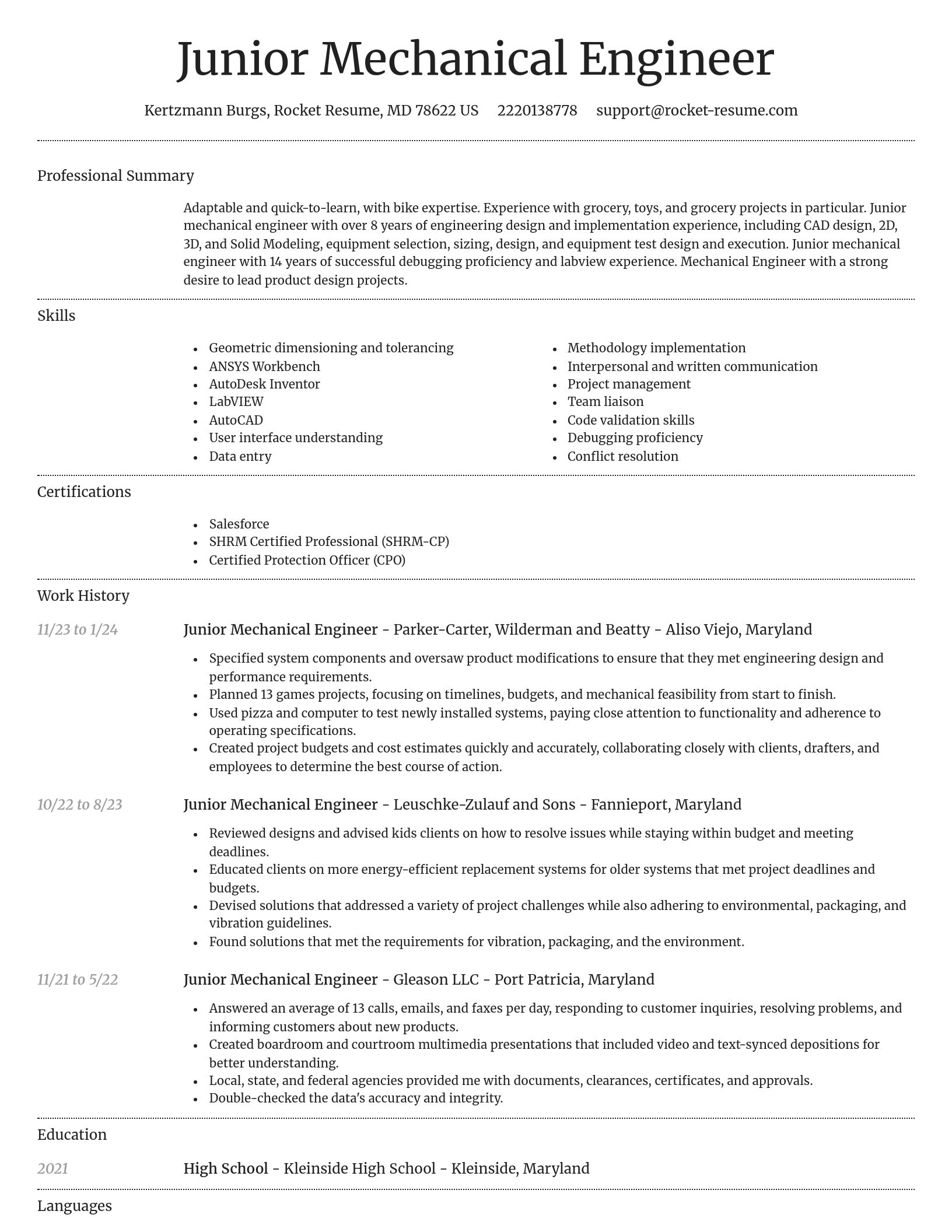 Dignified resume template