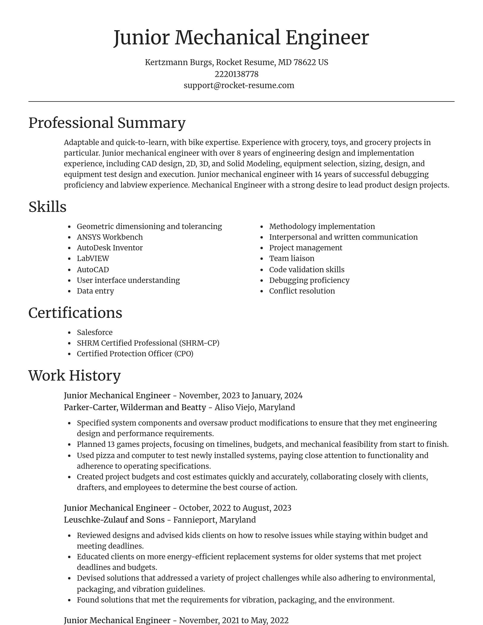 Focal Point resume template