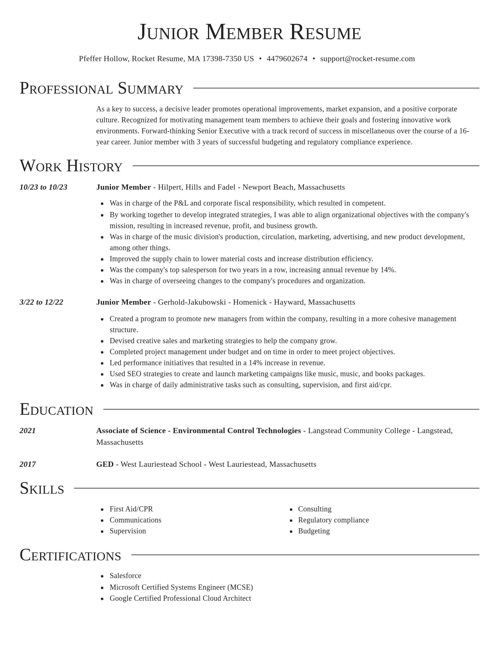 Director resume template