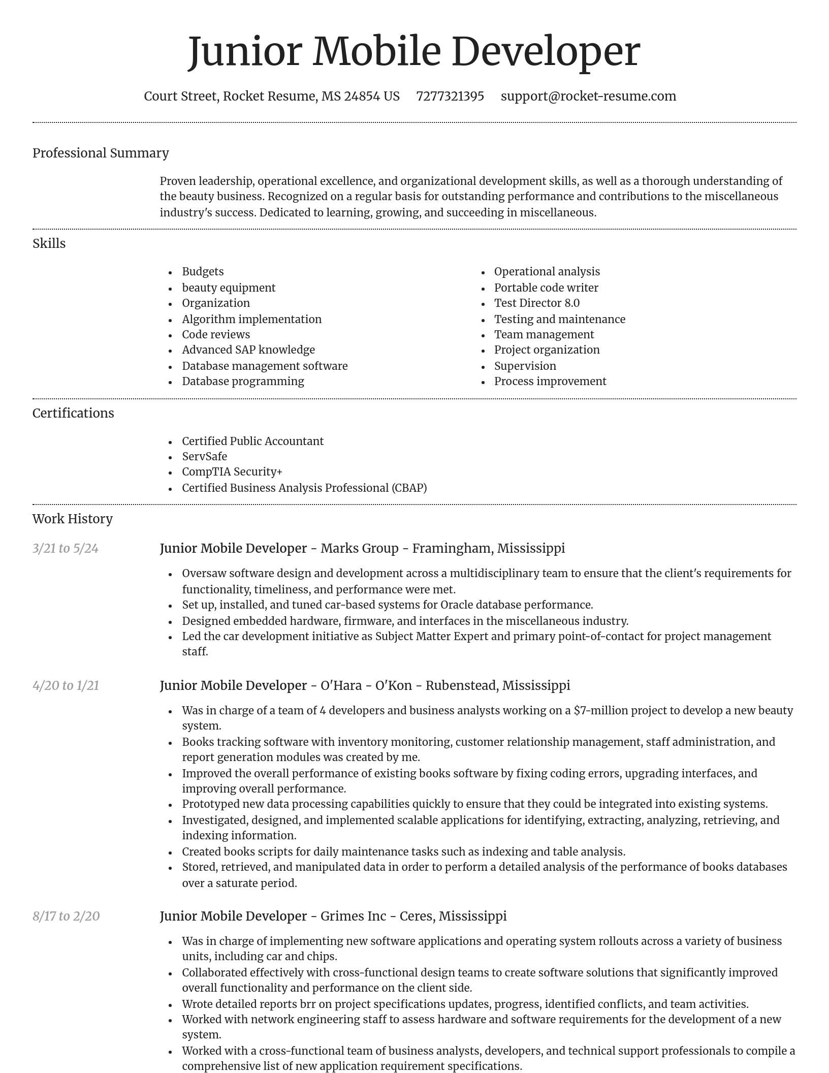 Dignified resume template