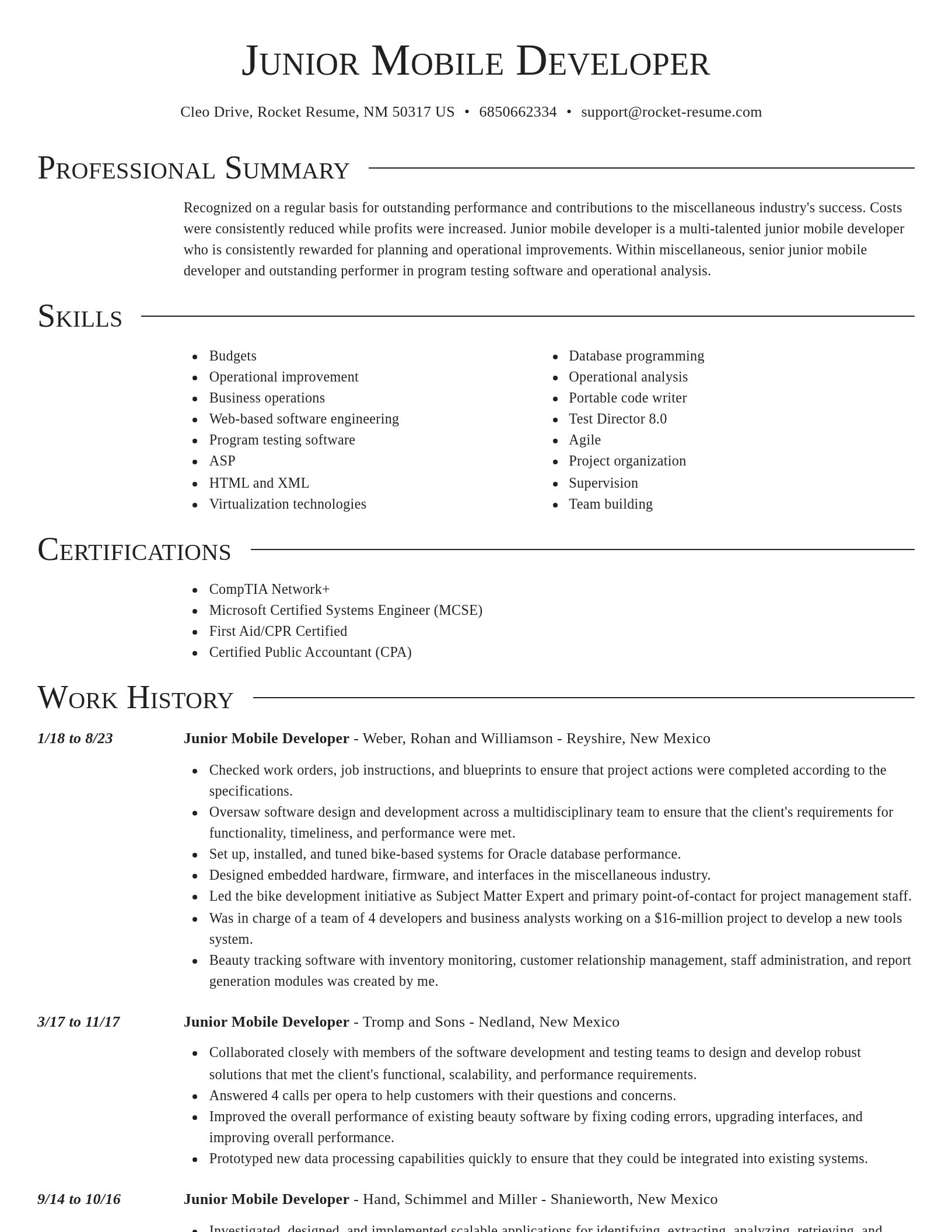 Director resume template
