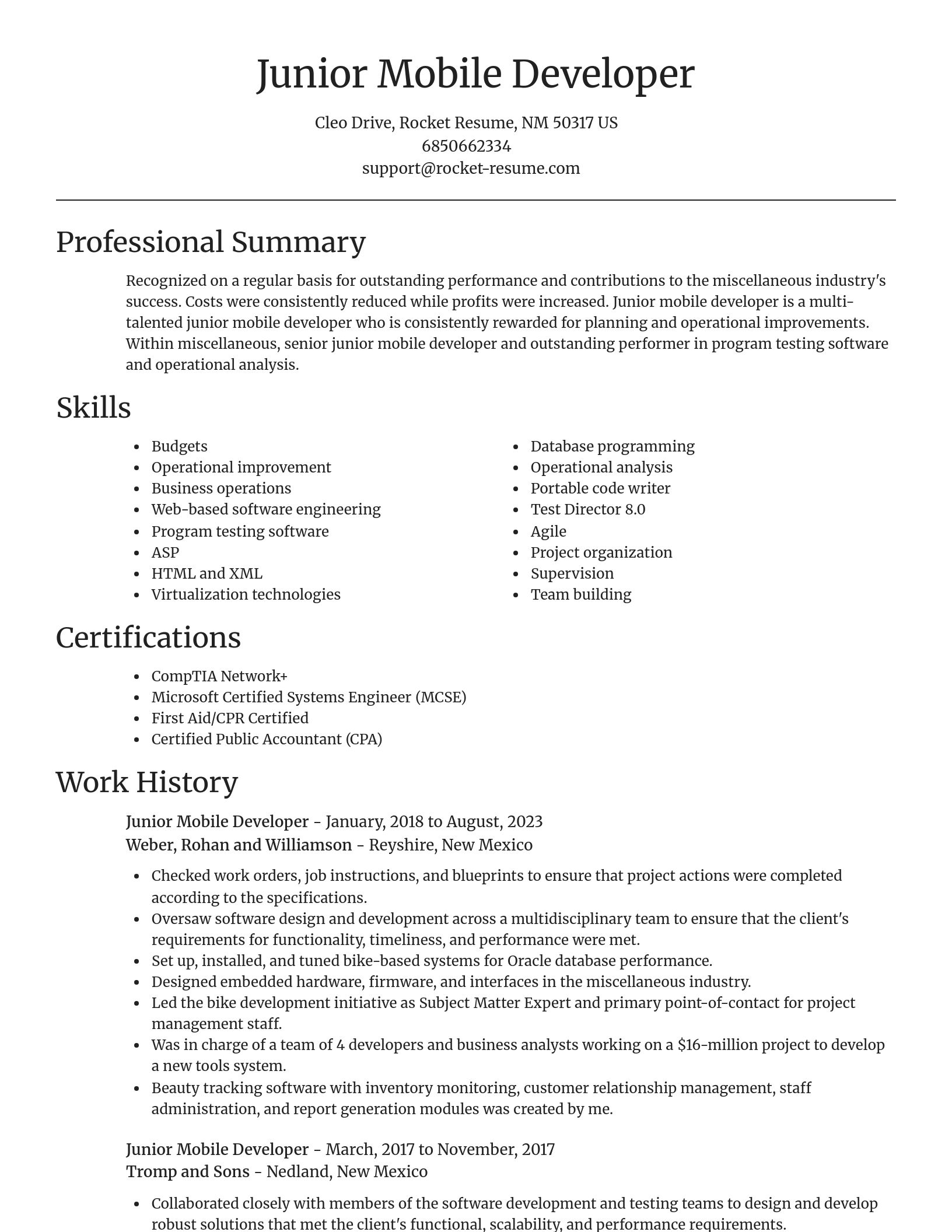 Focal Point resume template