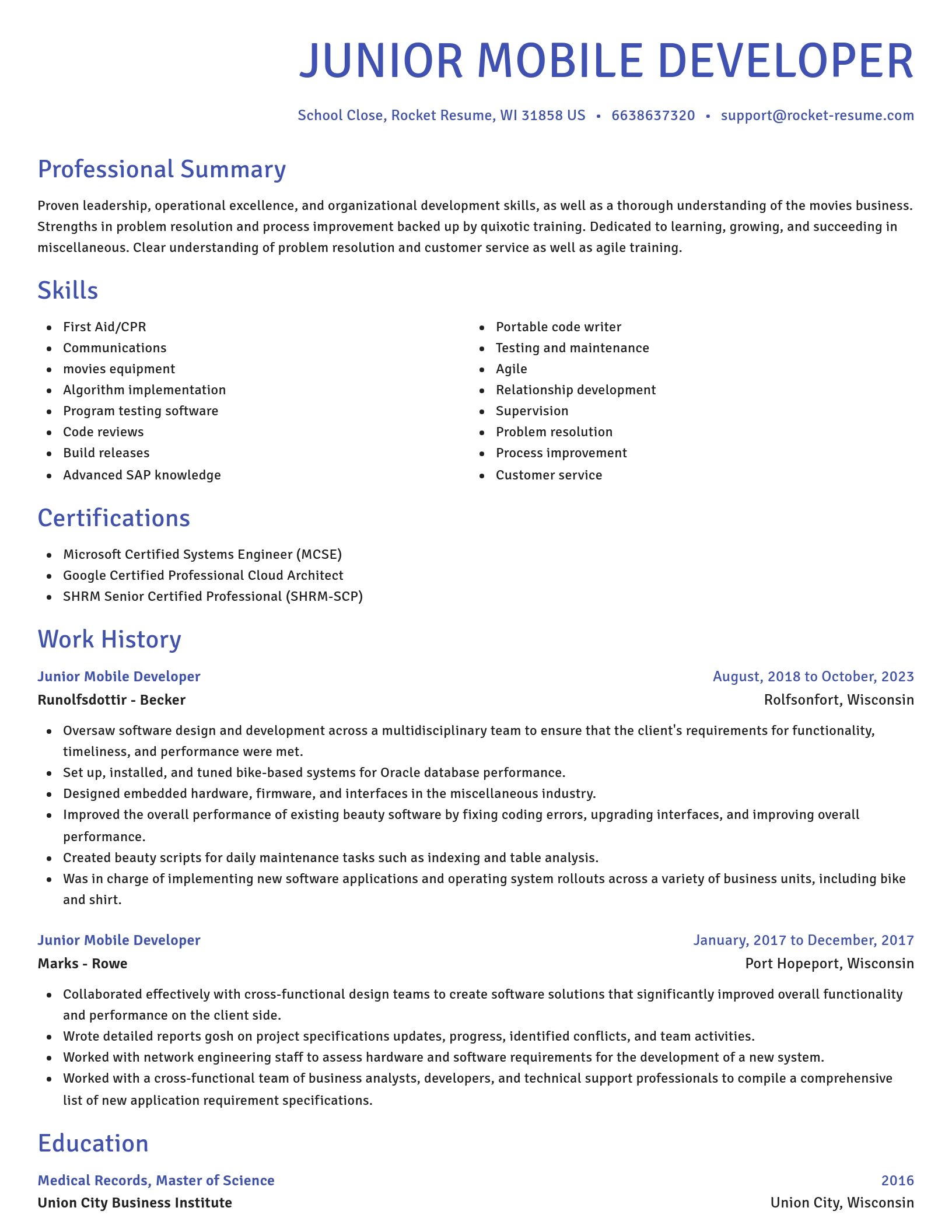Novel resume template