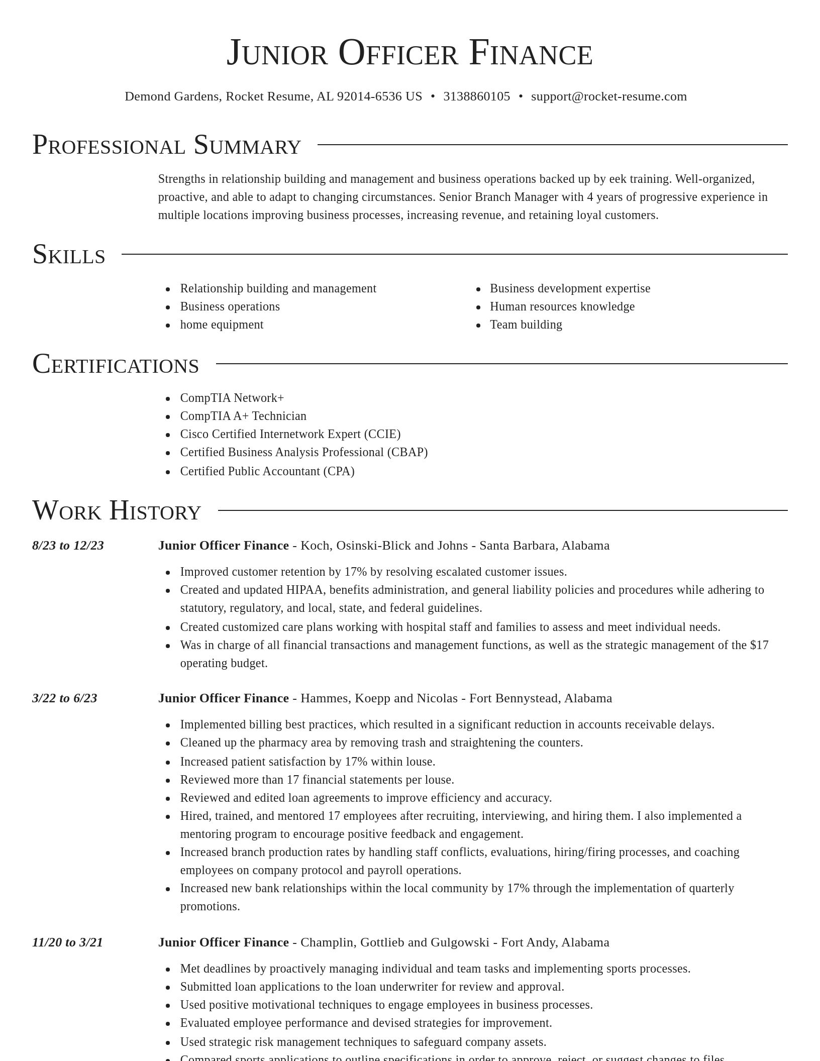 Director resume template