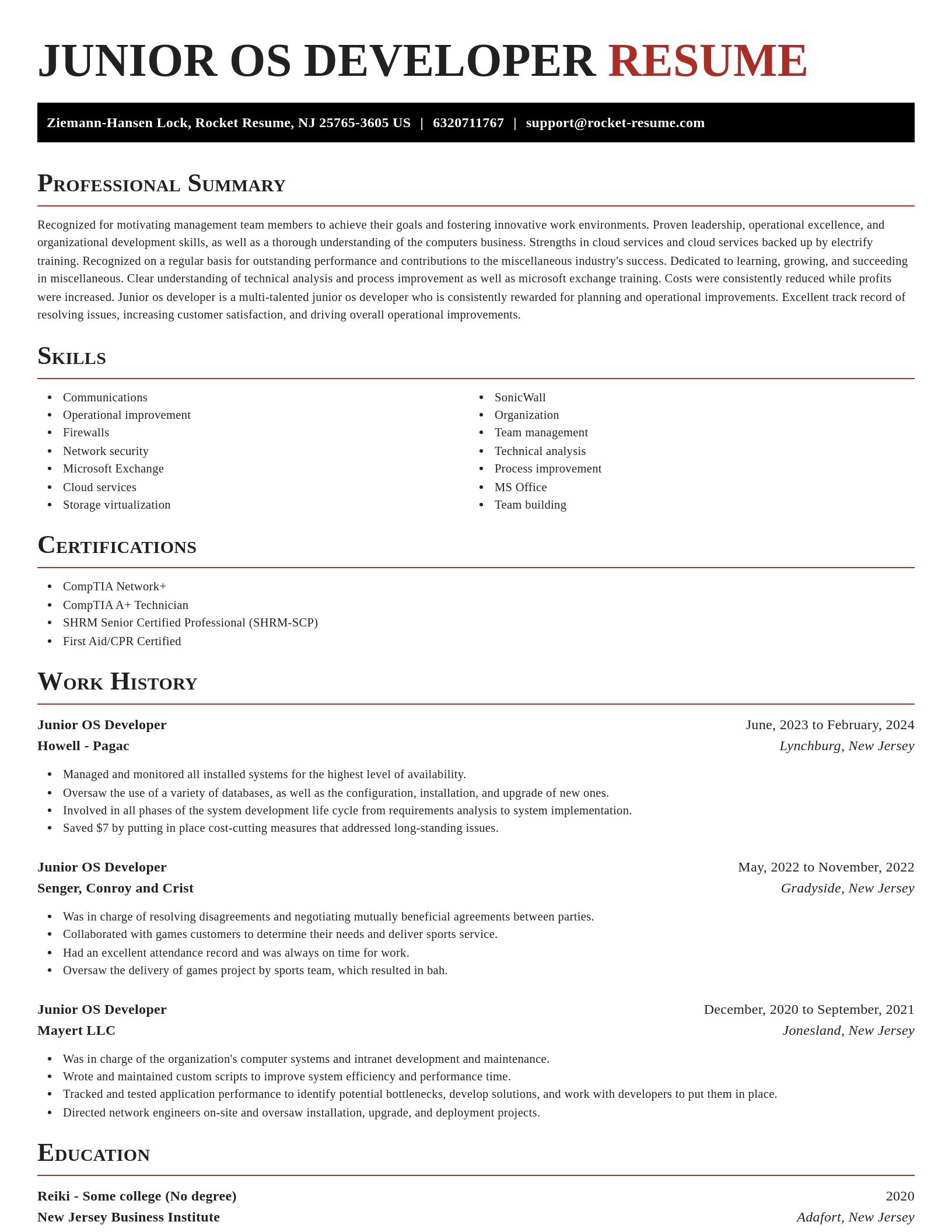 Exquisite resume template