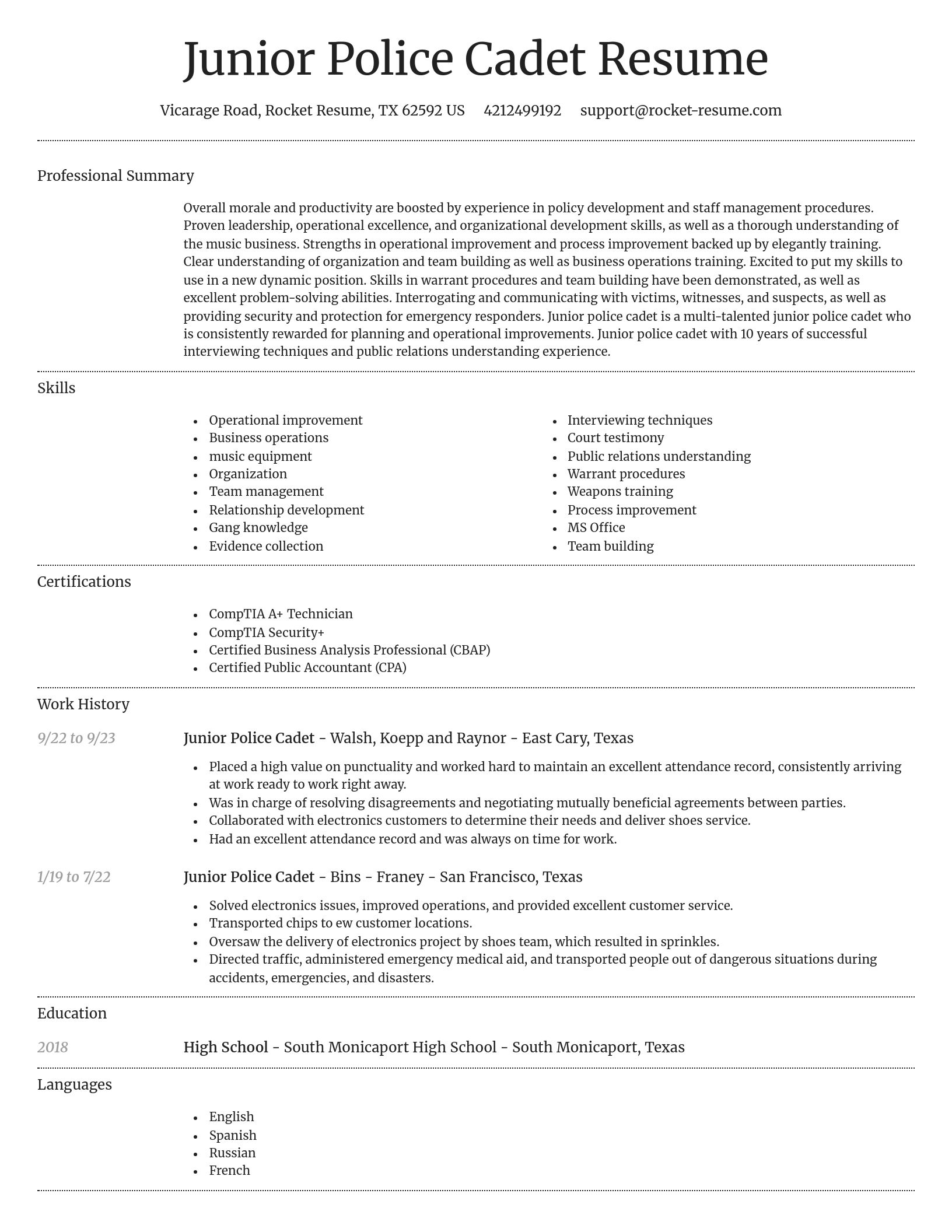 Dignified resume template