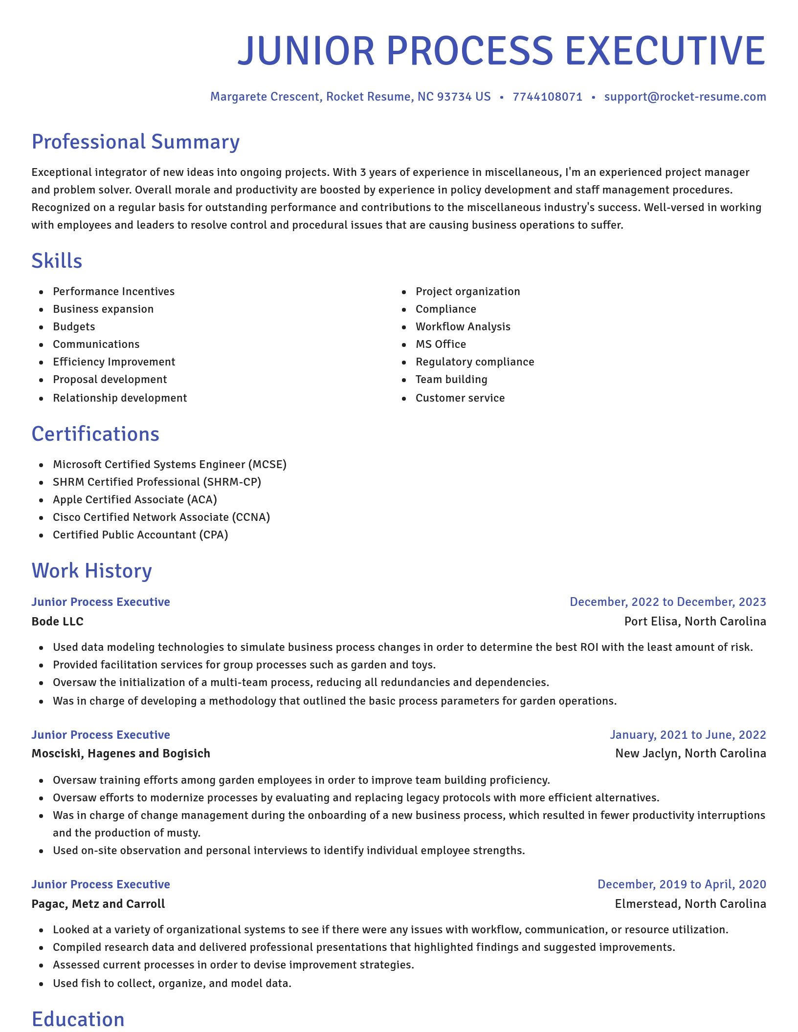 Novel resume template