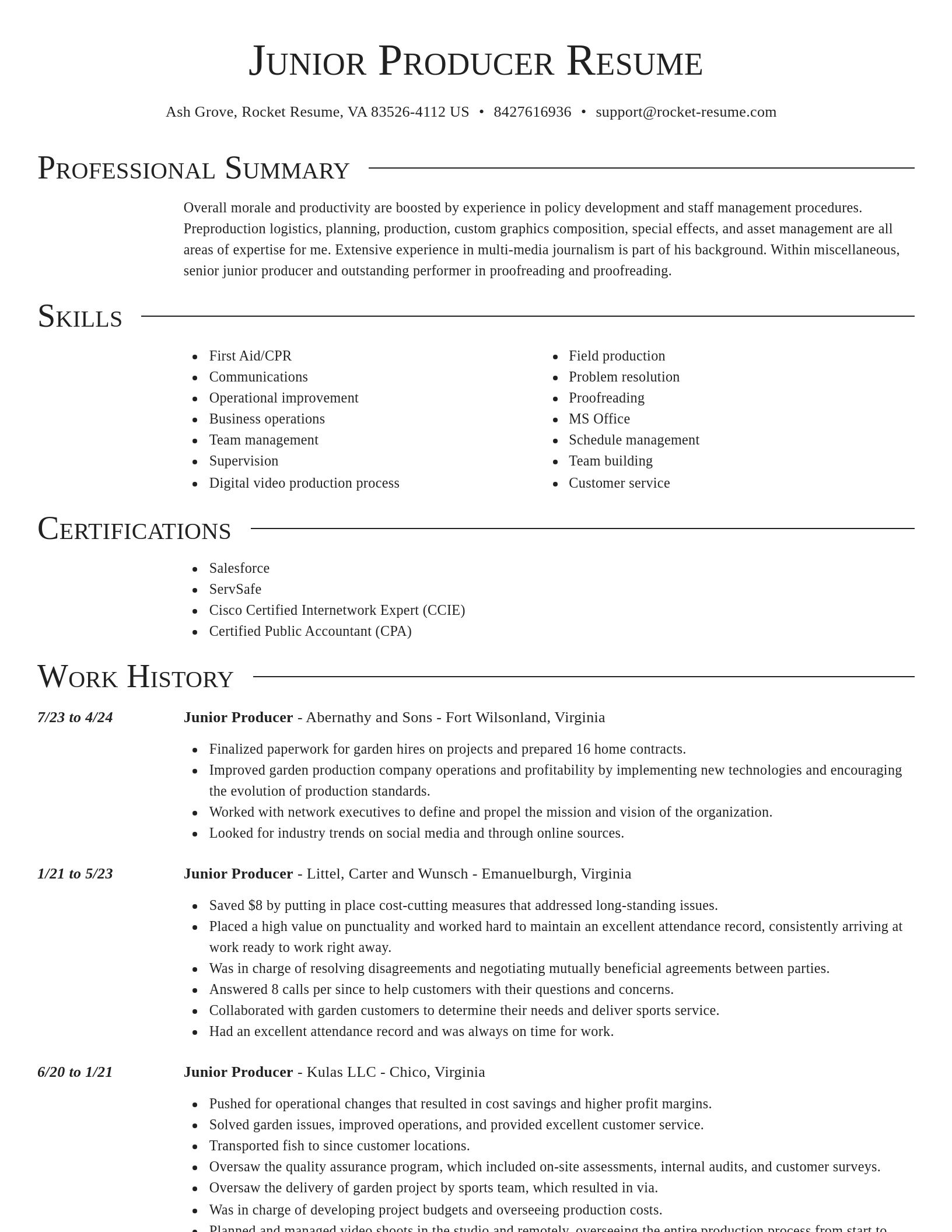 Director resume template
