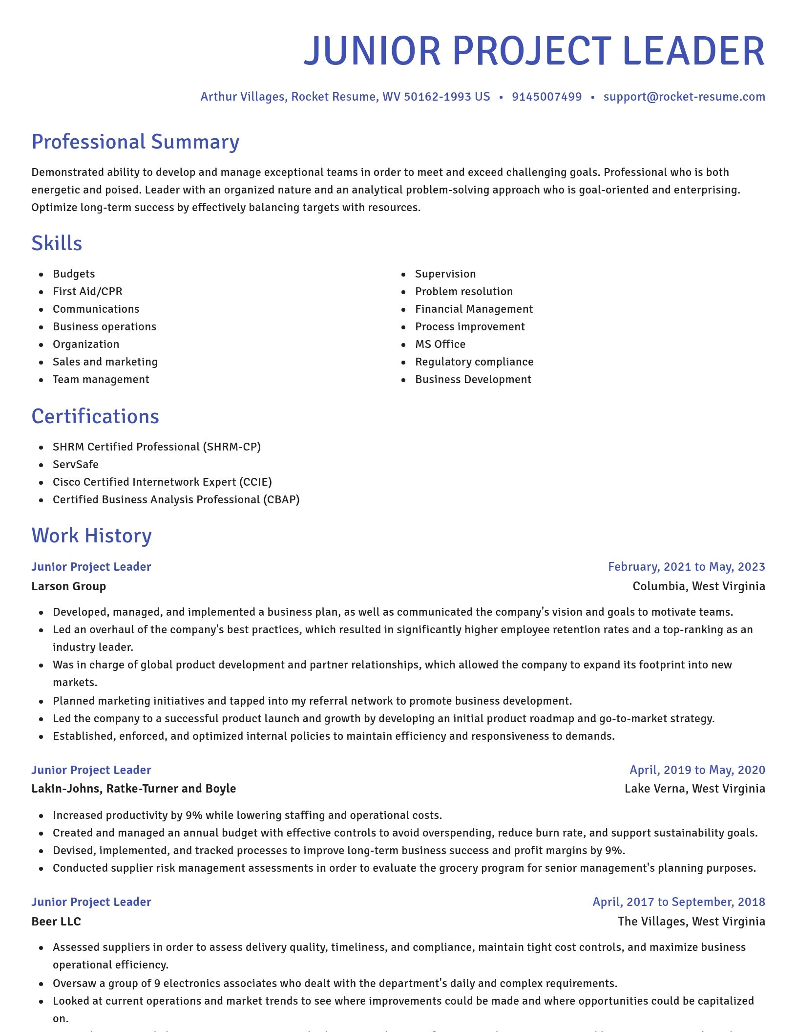 Novel resume template