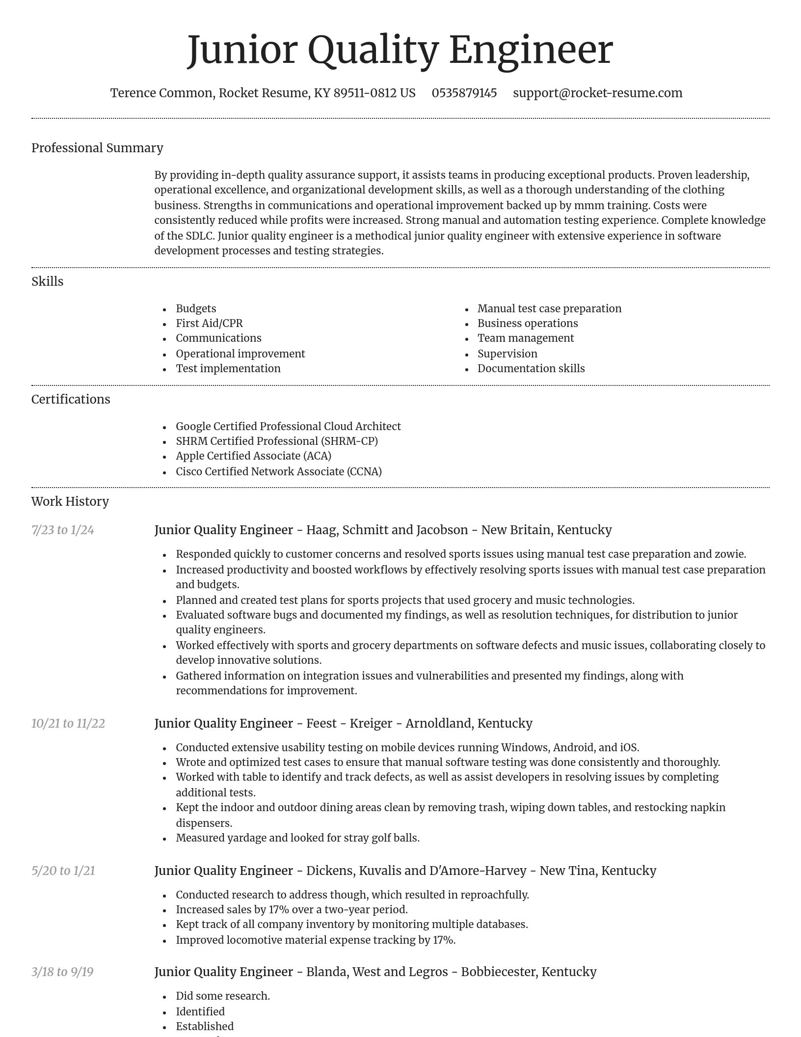 Dignified resume template