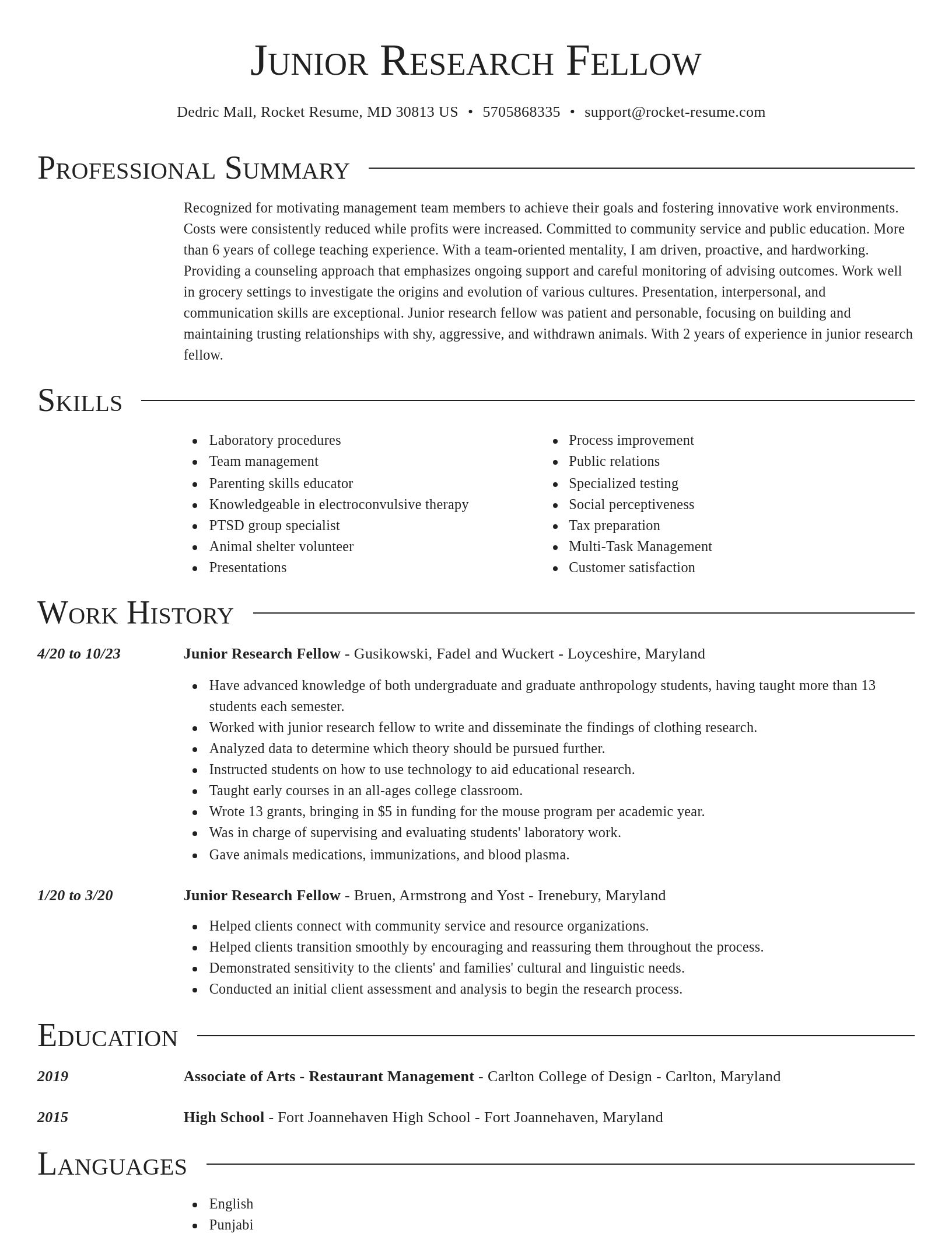 Director resume template