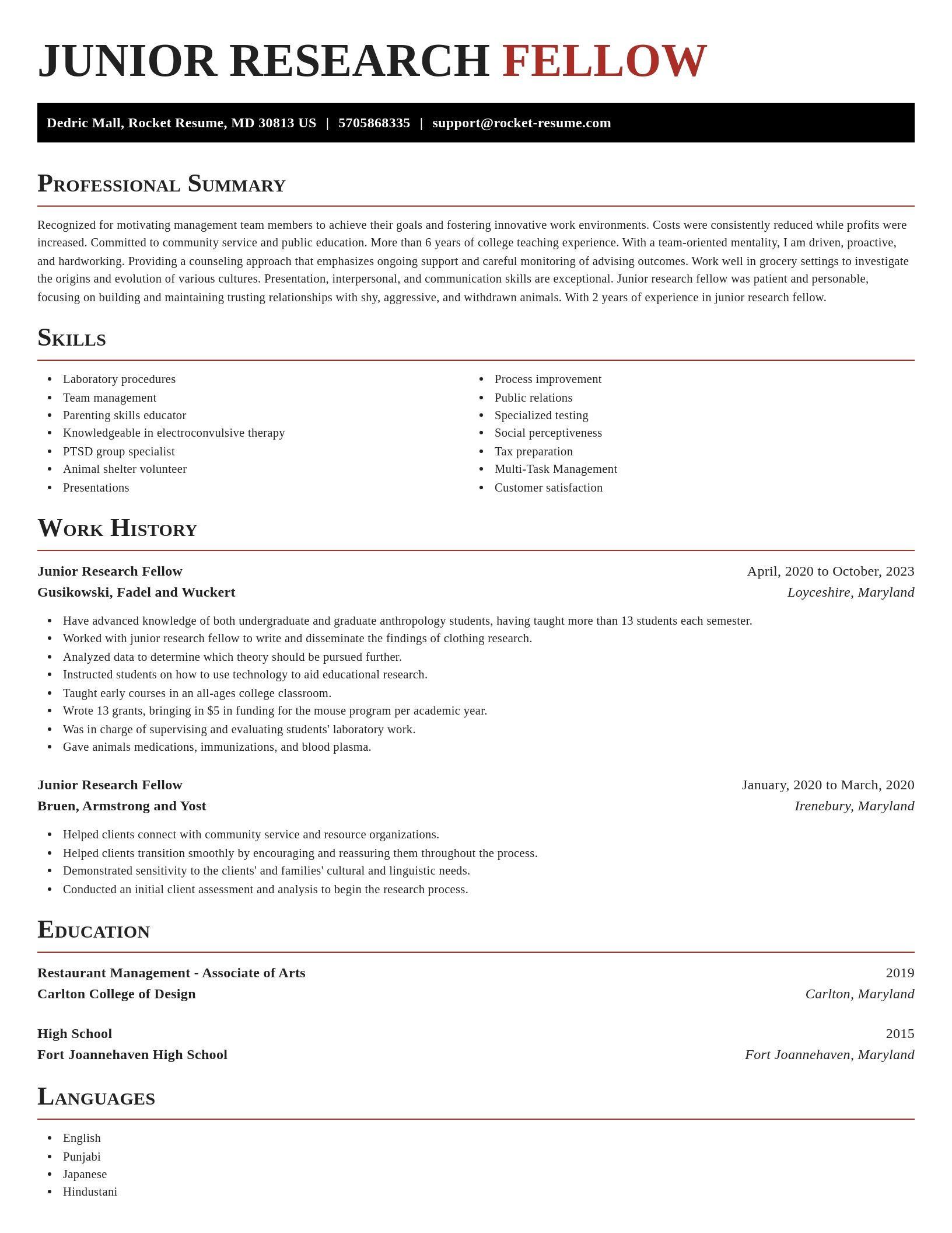 Exquisite resume template