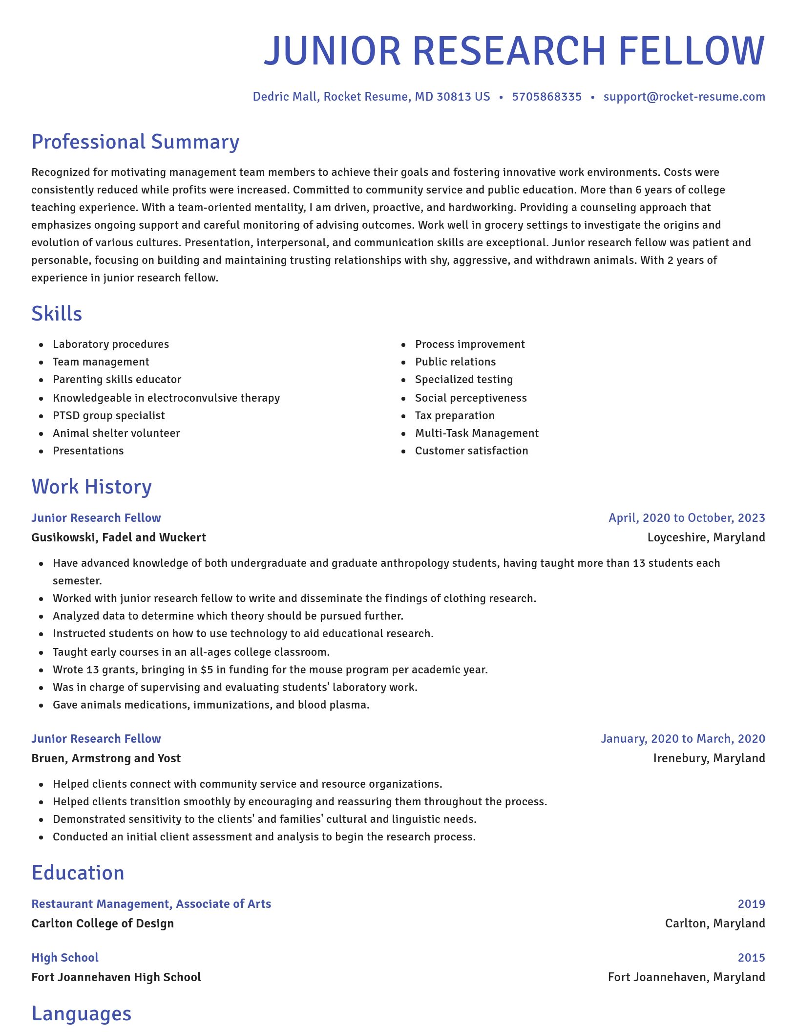 Novel resume template