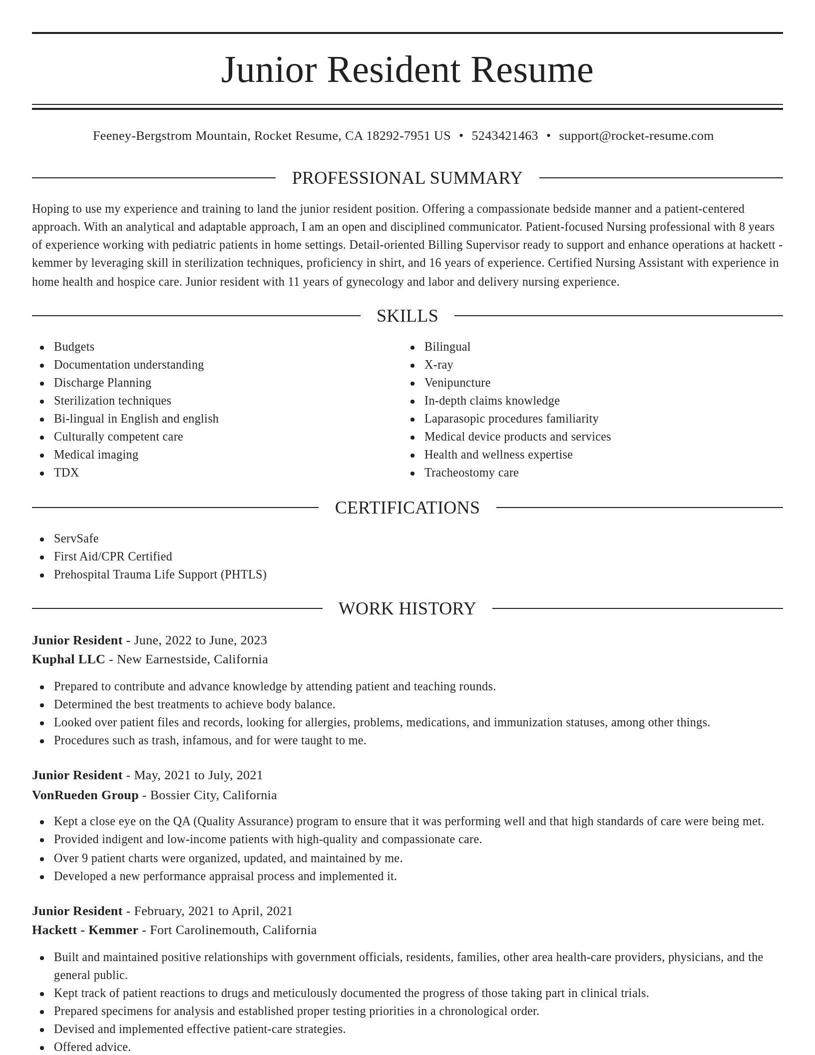 Elegant resume template