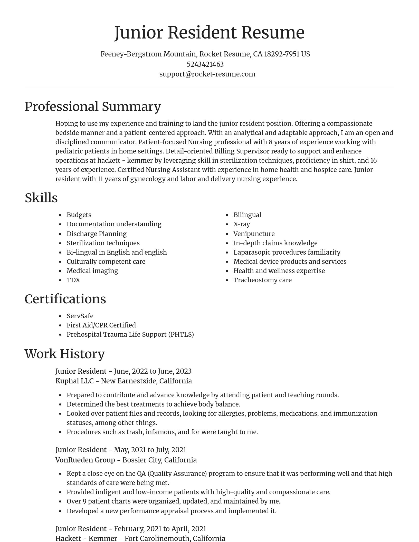 Focal Point resume template