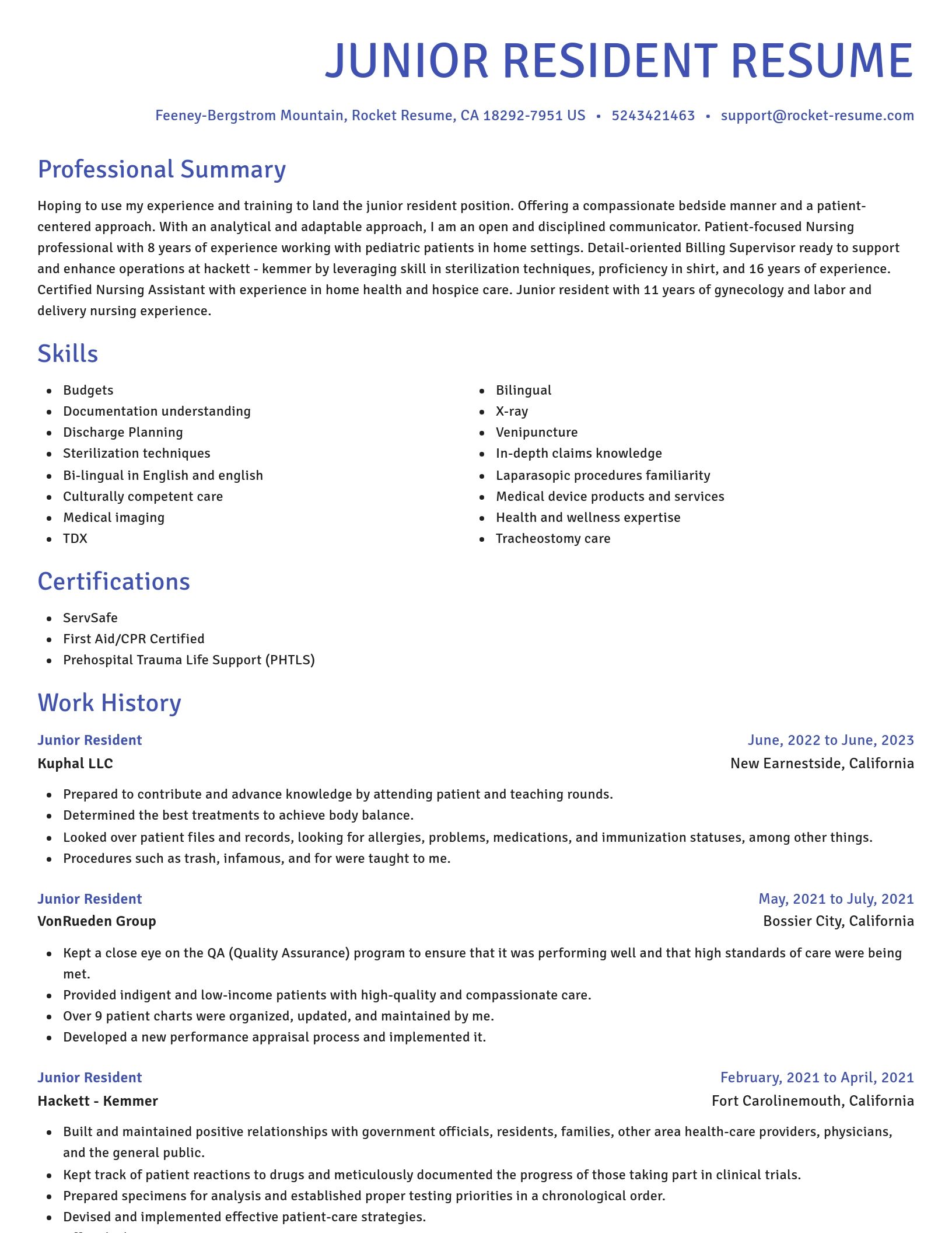 Novel resume template