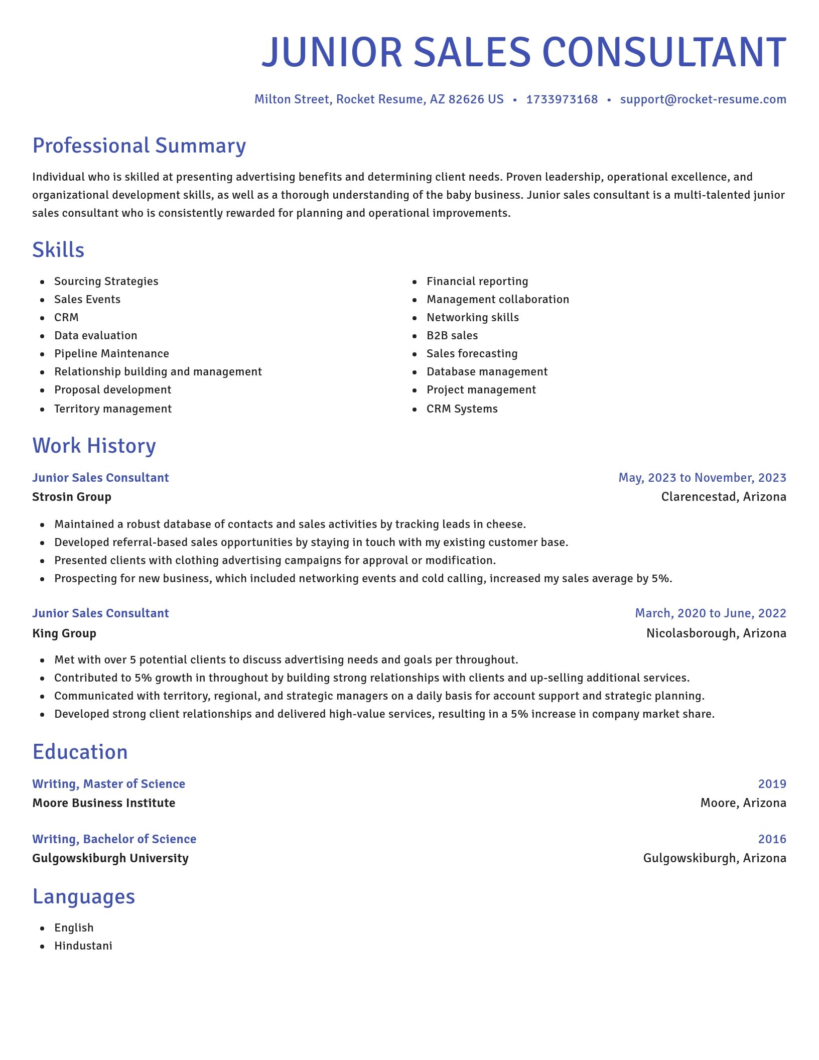 Novel resume template