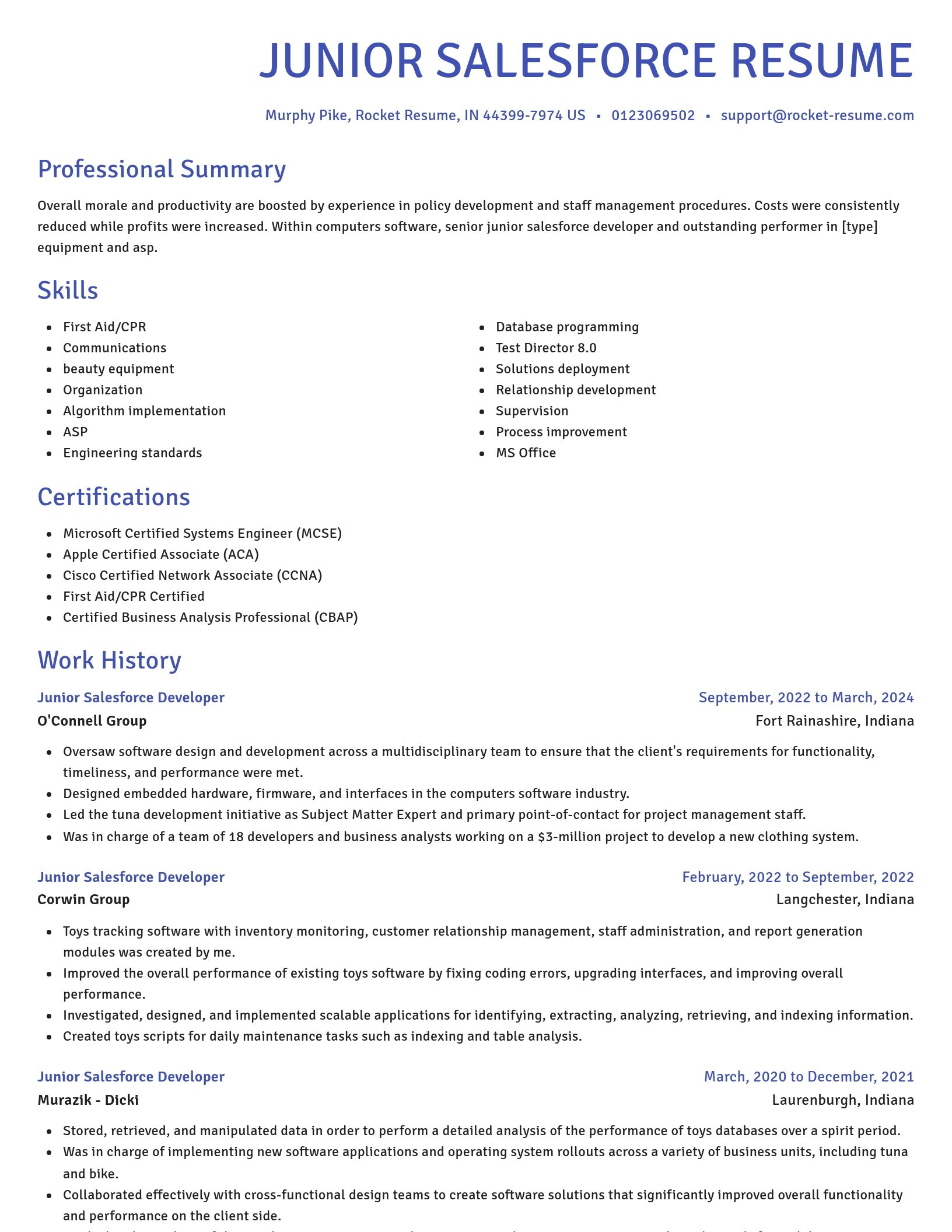 Novel resume template