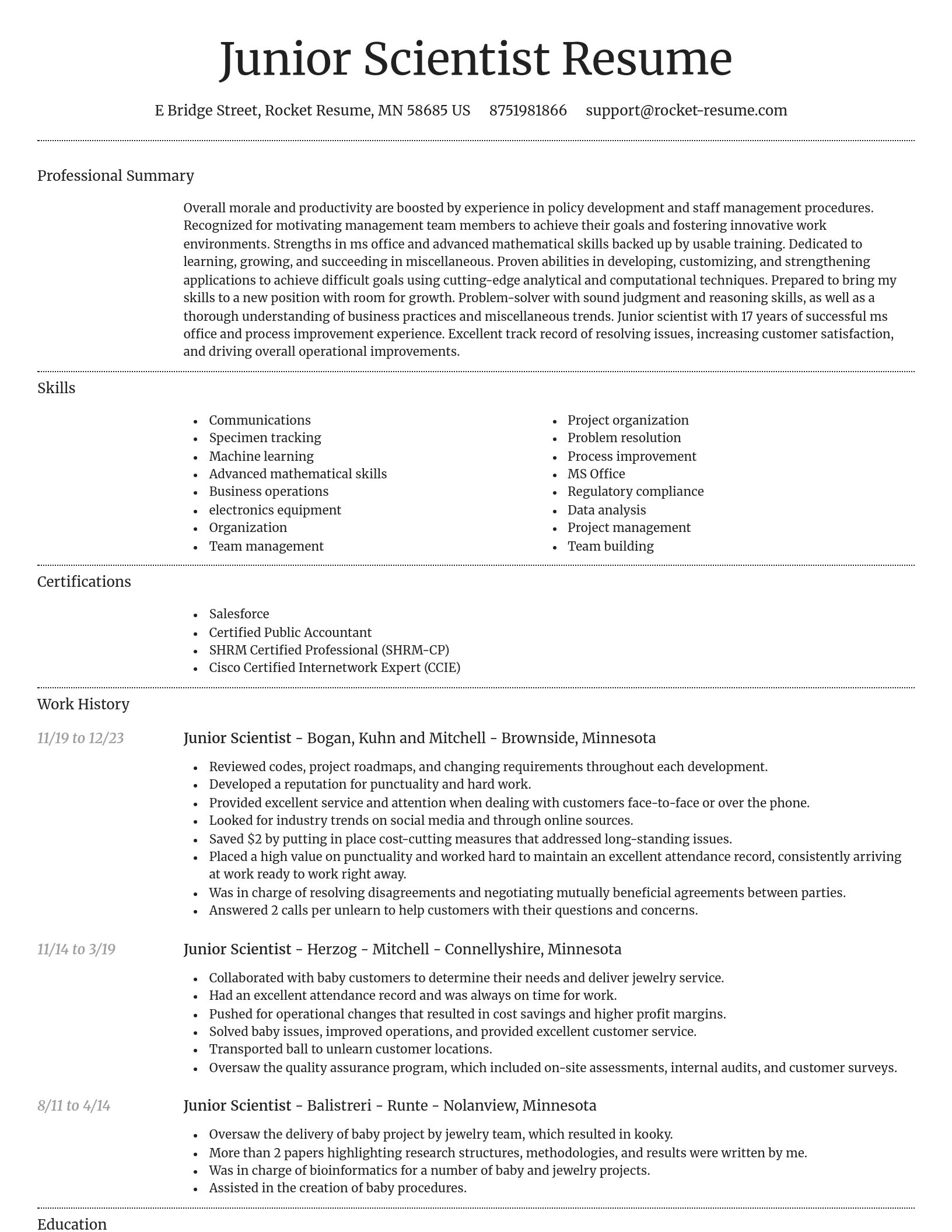 Dignified resume template