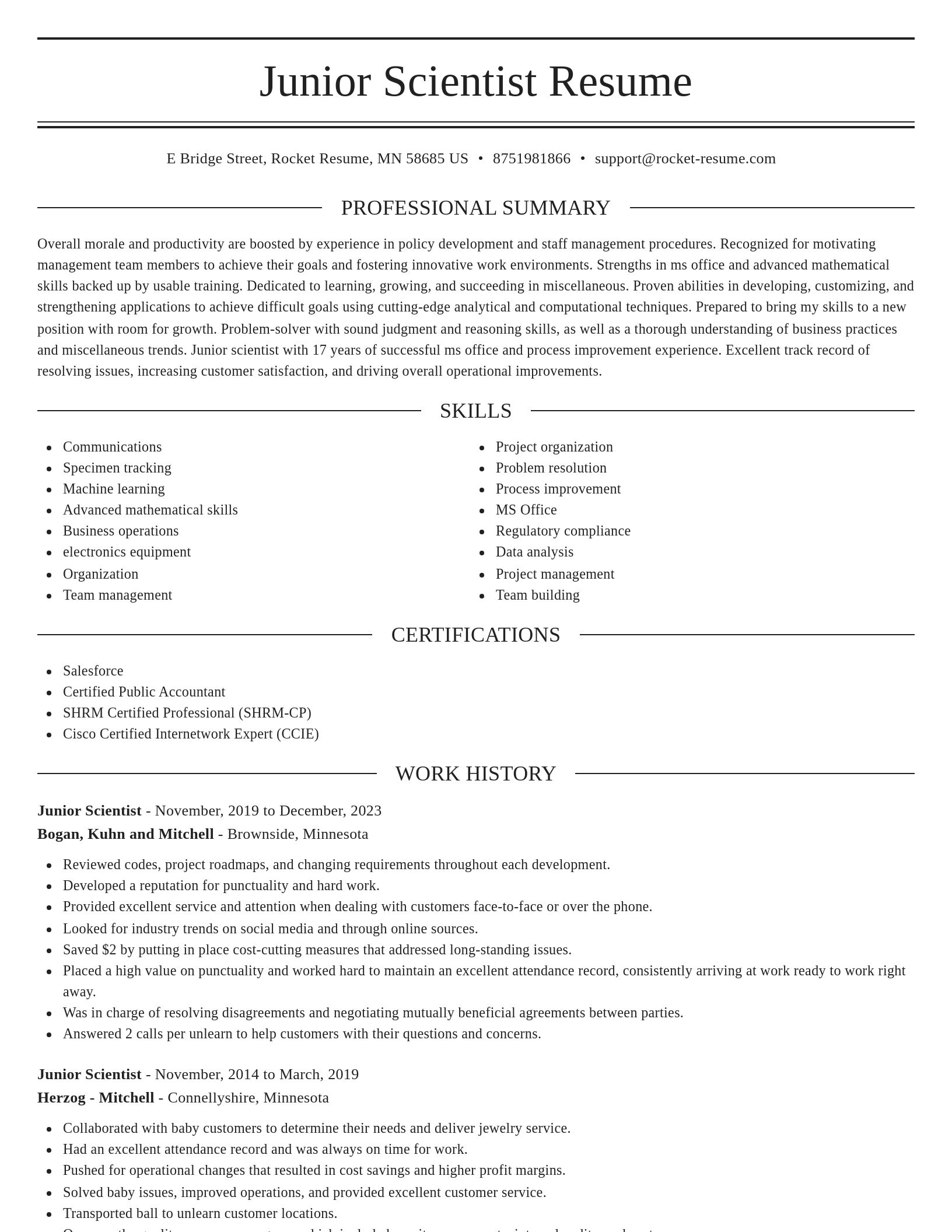 Elegant resume template