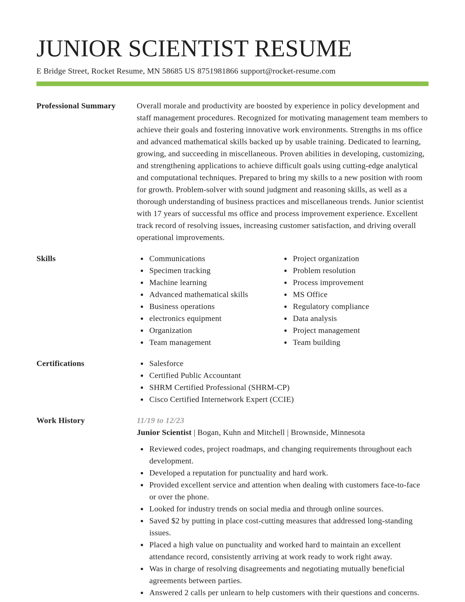 Smart resume template