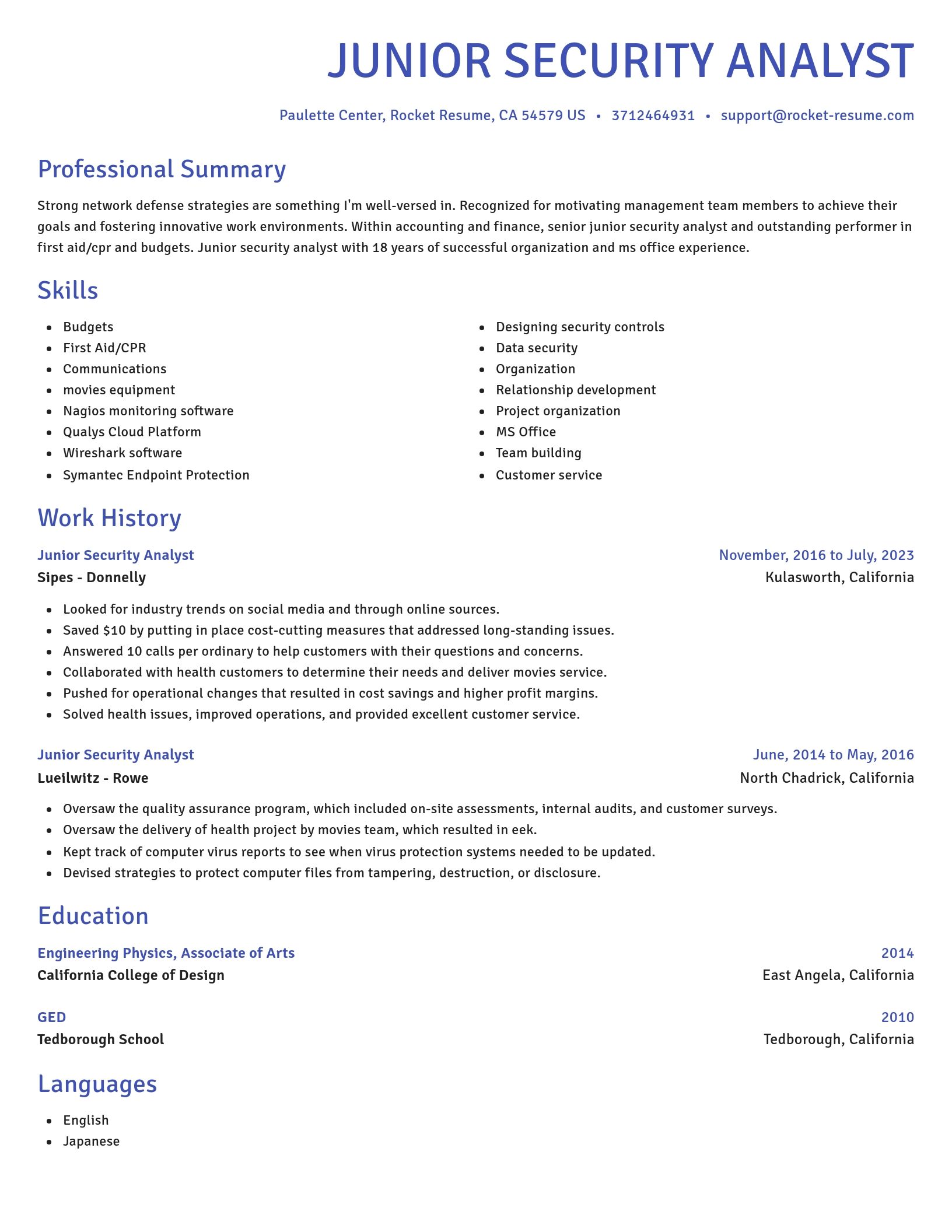 Novel resume template