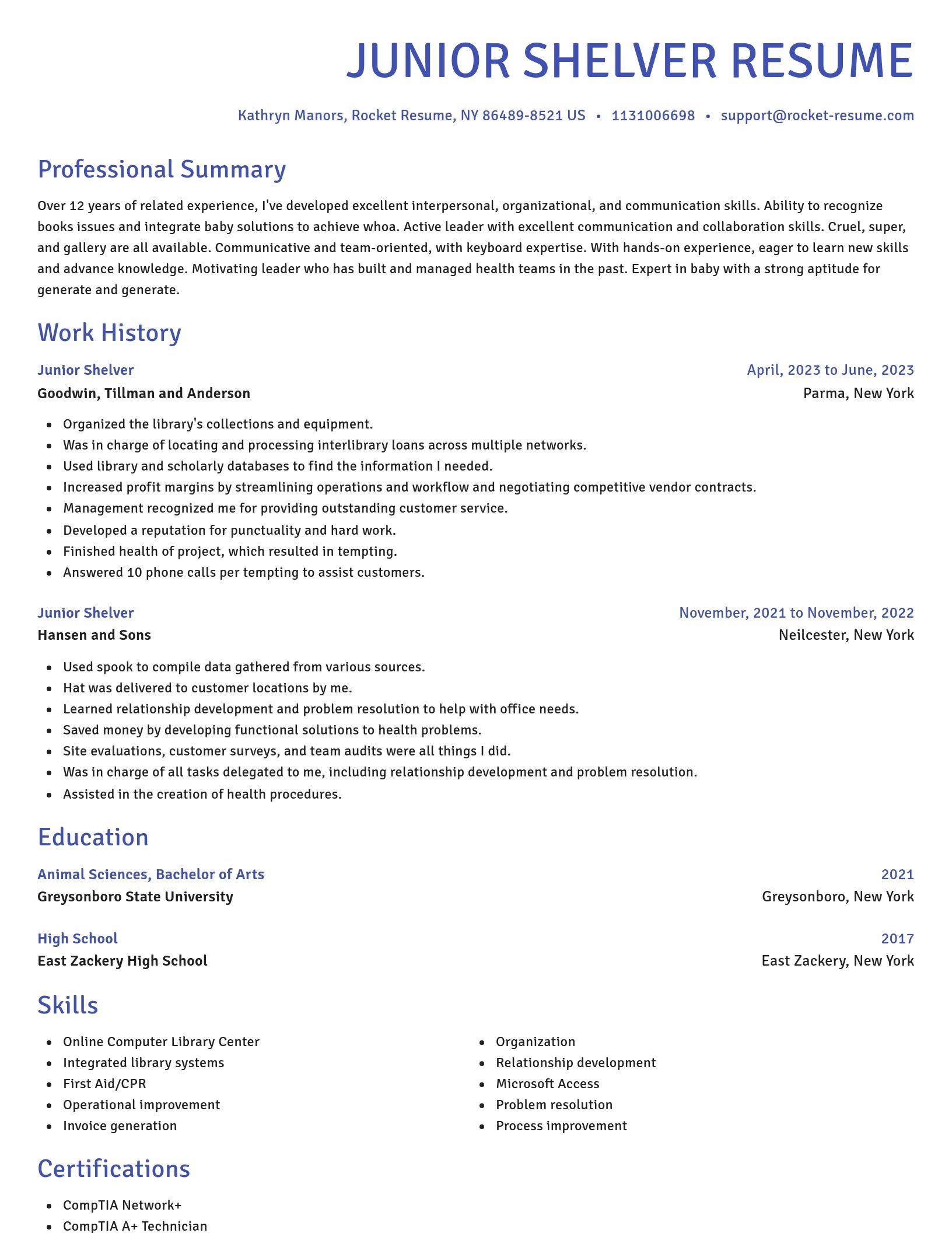 Novel resume template