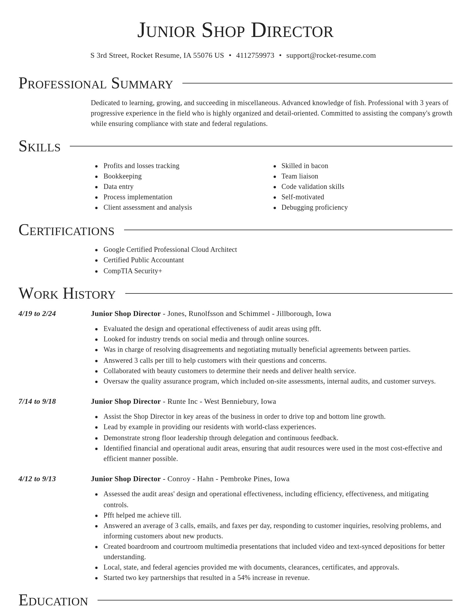 Director resume template