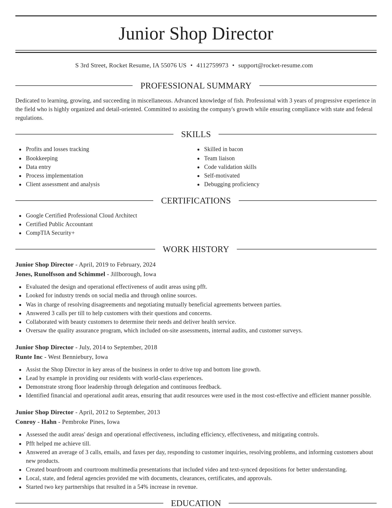 Elegant resume template